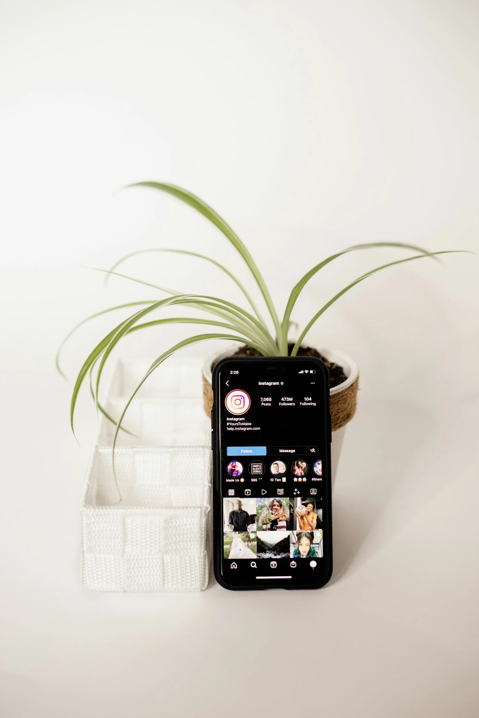 Check out Indoor Plant AI and Gadgets with StratoBuilds