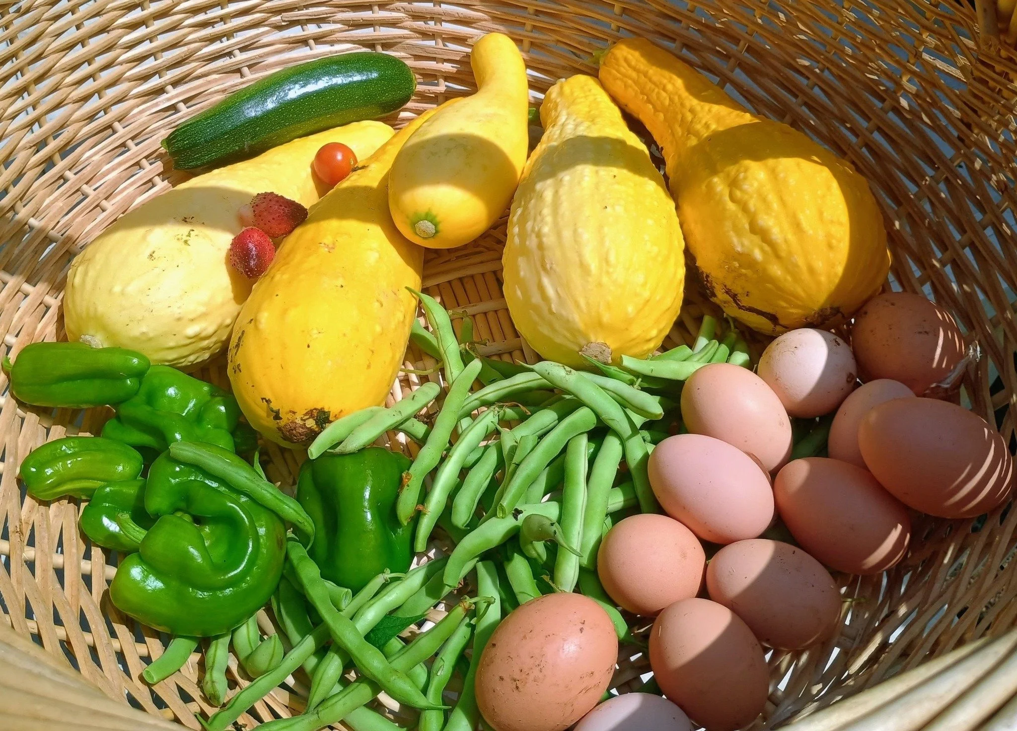 A woven basket filled with yellow squashes, green peppers, green beans, eggs, a cucumber, and small tomatoes.