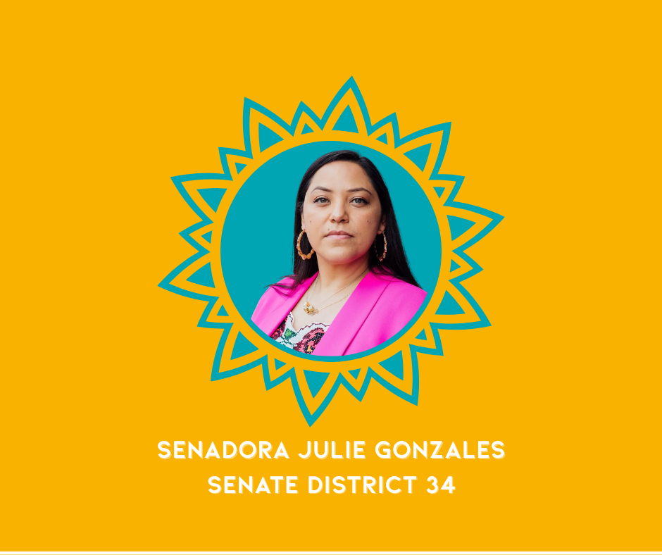 A promotional graphic featuring a woman's portrait inside a decorative sun-shaped border on a yellow background. Text below identifies her as Senator Julie Gonzales representing Senate District 34.