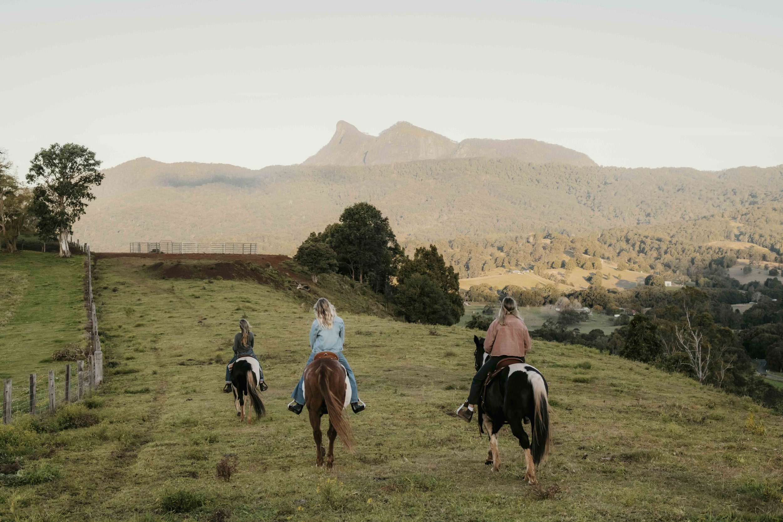 Three riders on horseback overlooking Wollumbin and the Tweed Valley