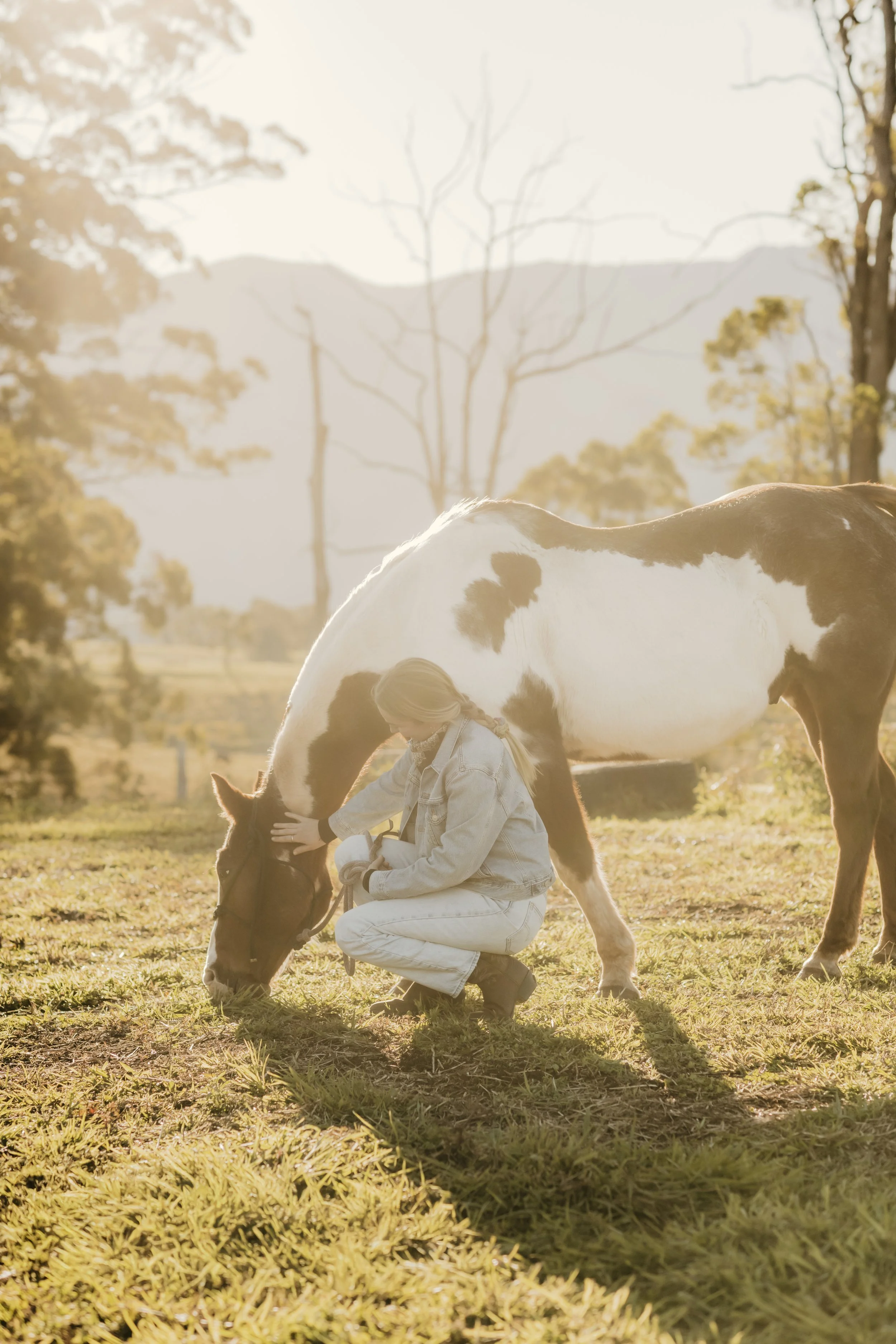 A young girl in a light denim jacket and white pants is kneeling on the grass, gently petting a brown and white pinto horse that is bending down with its head lowered. The scene is set outdoors with trees and mountains in the background during golden hour sunlight.
