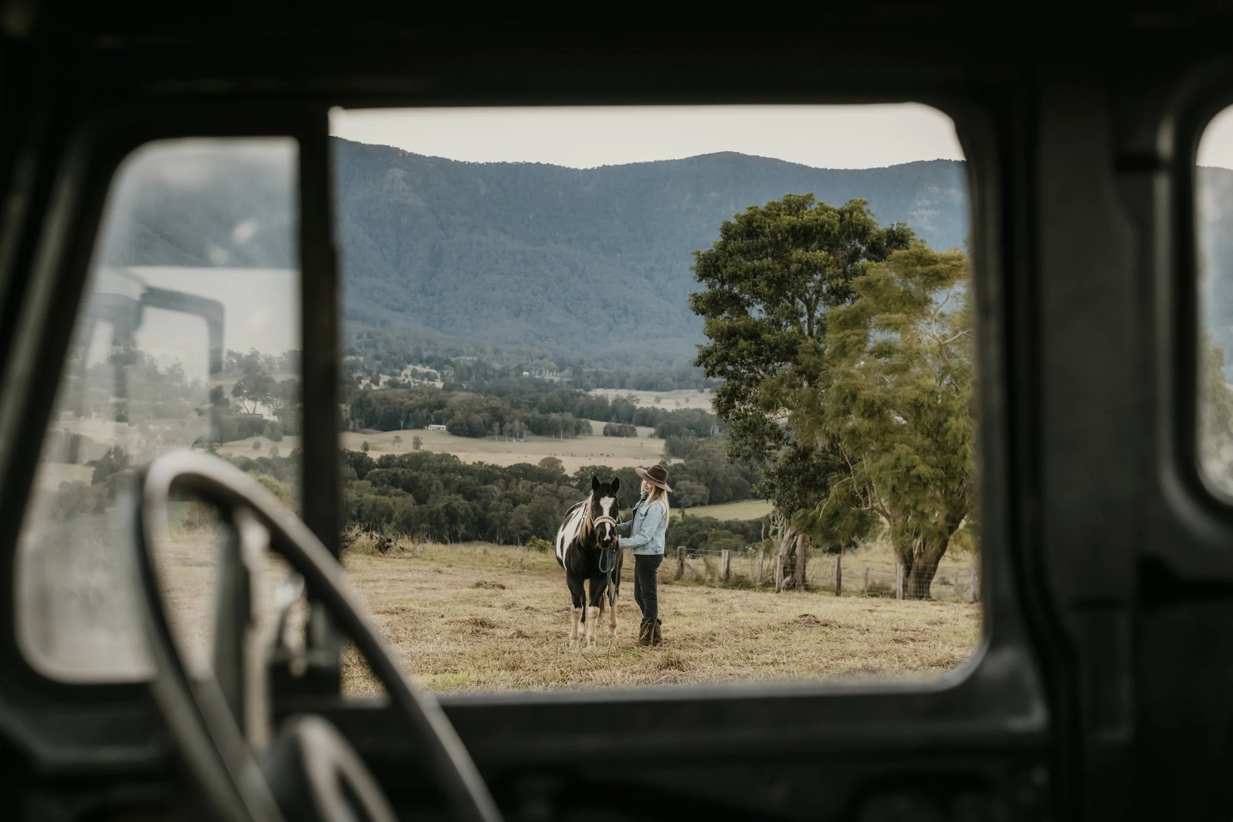 Horse framed through a vintage LandCruiser with mountain views beyond