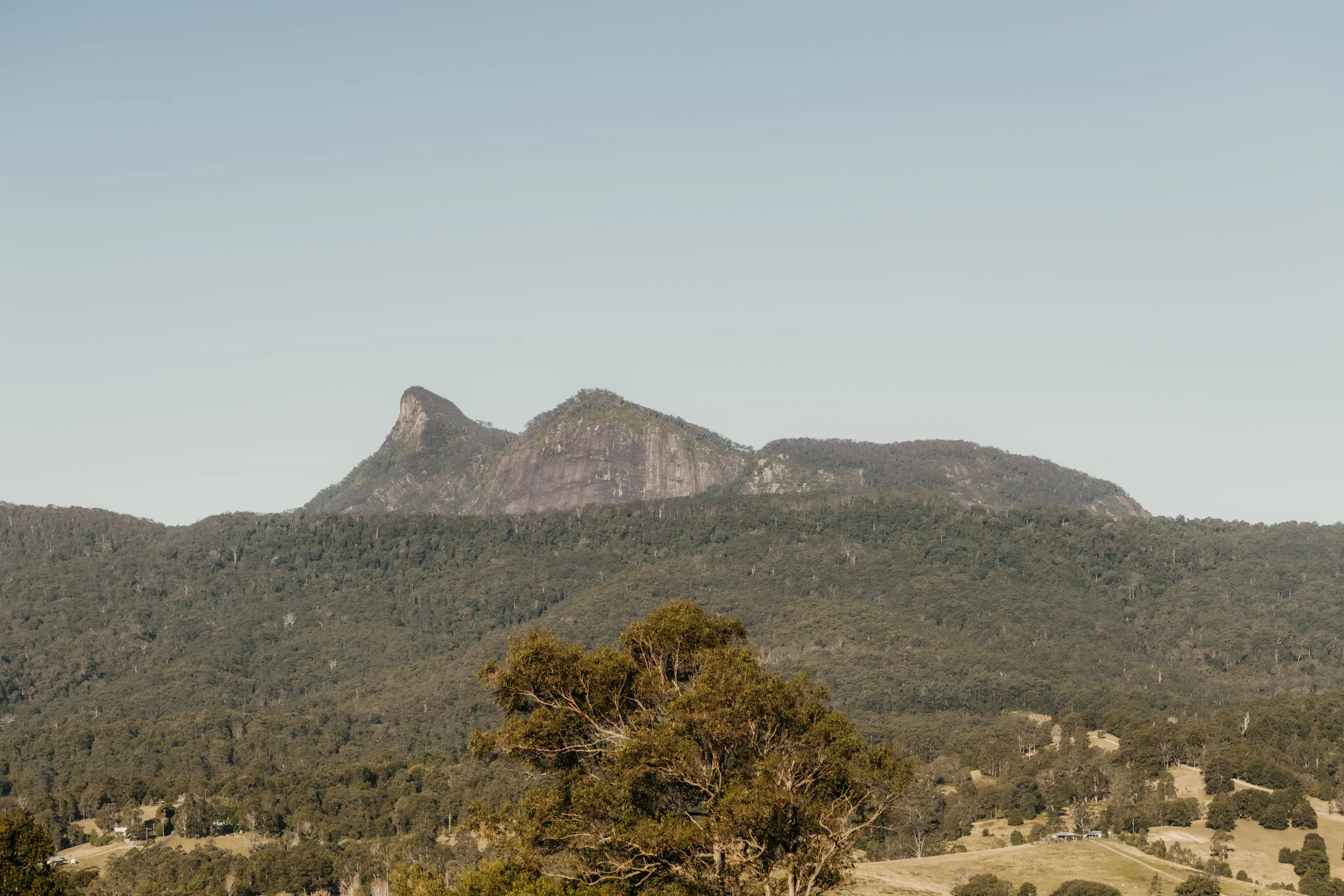 A mountain landscape with a prominent rocky peak, surrounded by forested hills and sparse trees in the foreground, under a clear blue sky.
