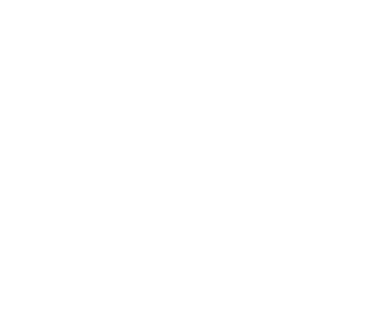 Aura - Horse Heart Connections