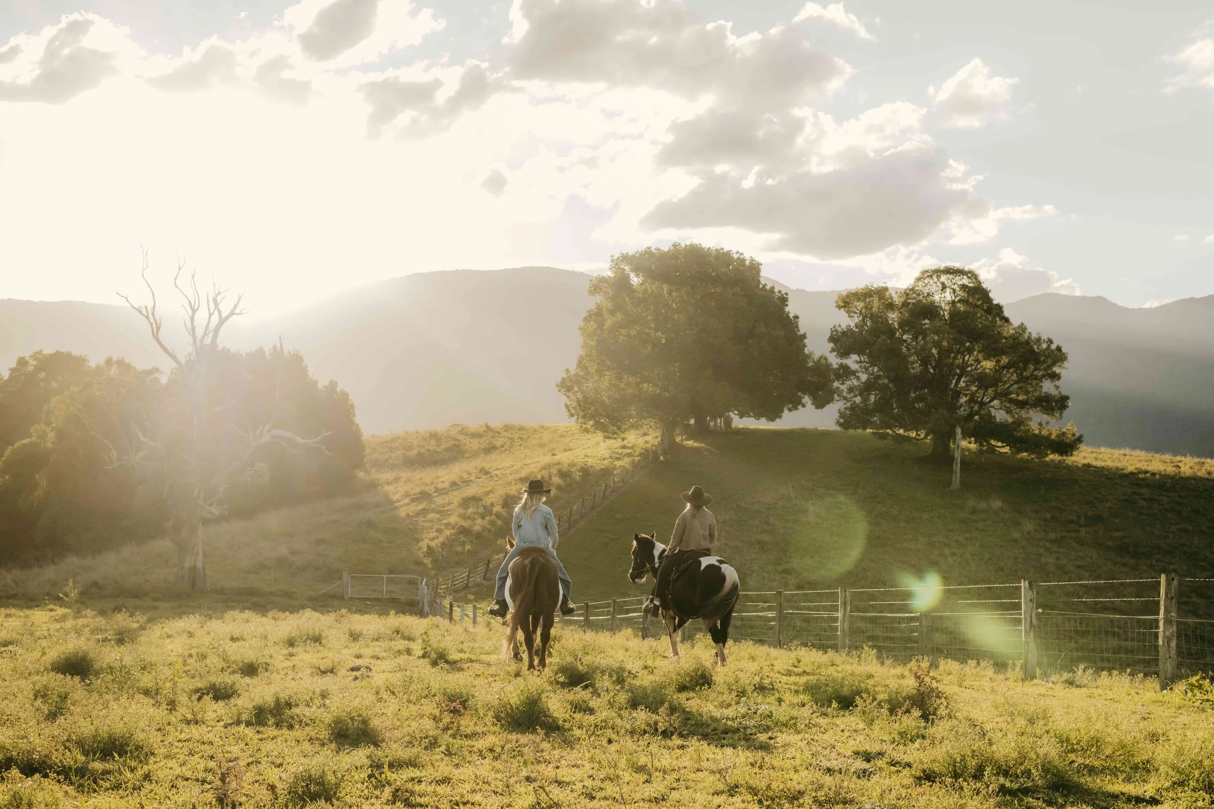 Two riders on horseback at golden hour on the farm