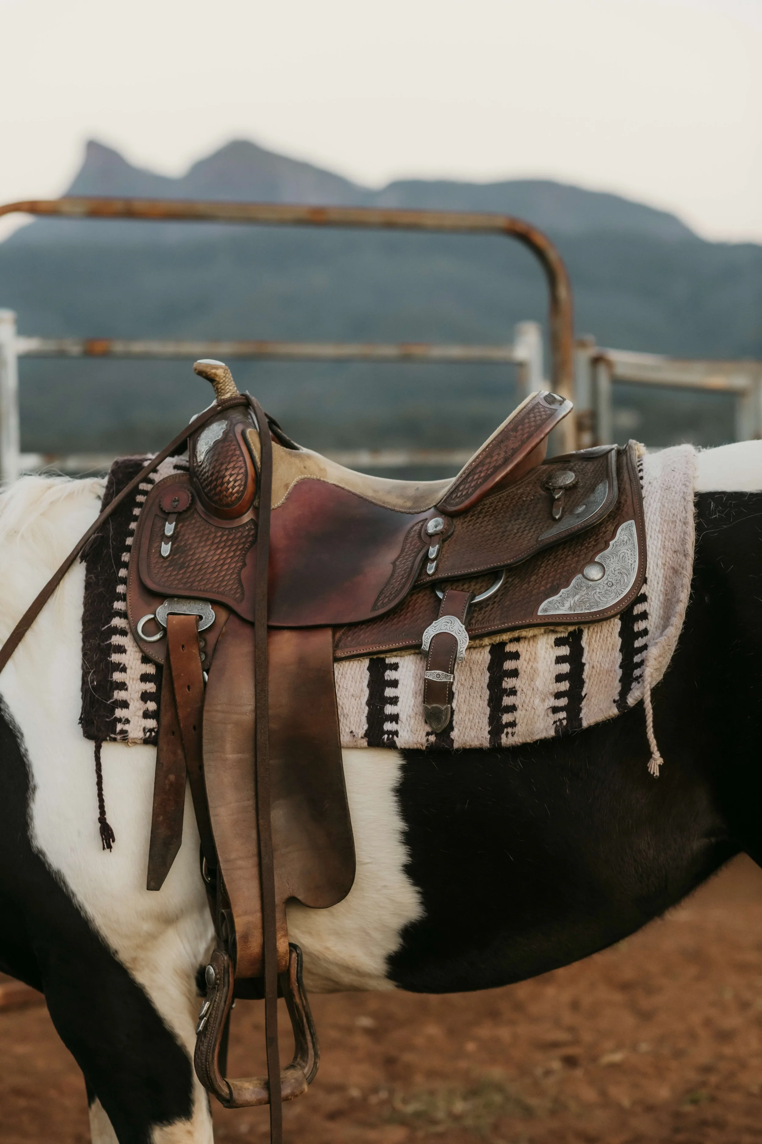 Western saddle and round yard with mountain views in the background