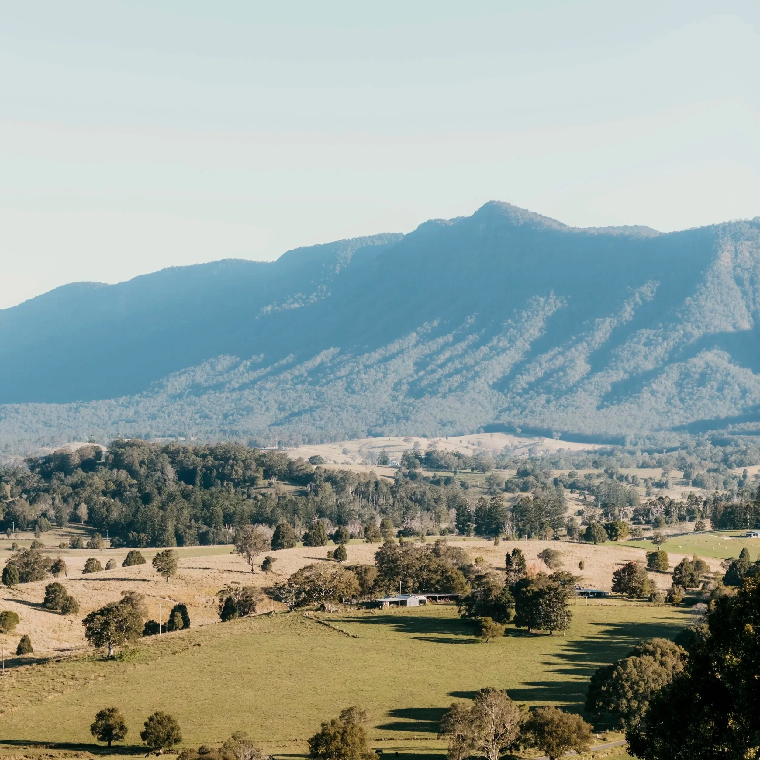 Scenic view of rolling hills and a mountain range in the distance with scattered trees and open fields in the foreground.