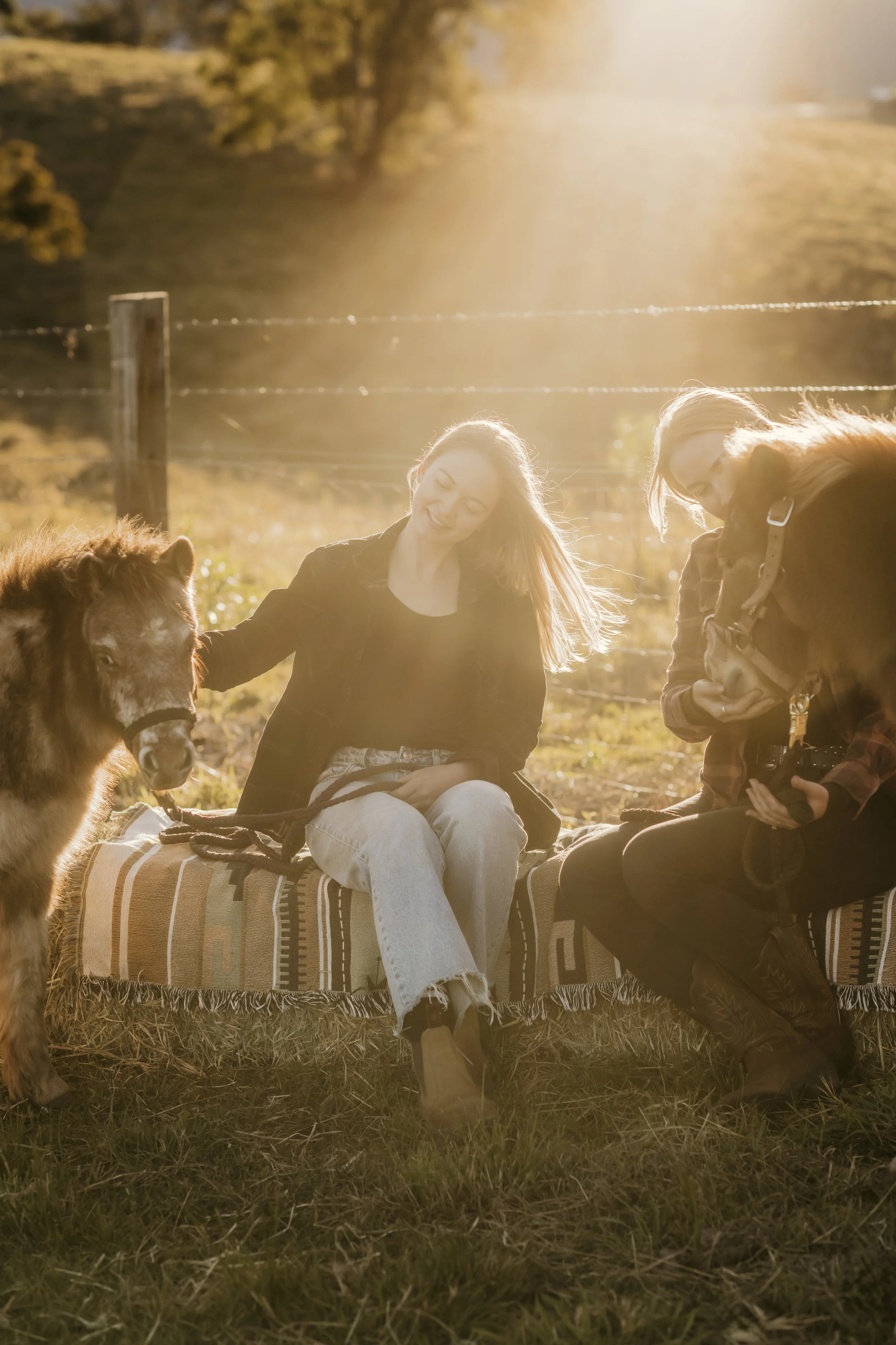 Two women sitting on a blanket in a field with a dog, sunlight filtering through trees in the background.
