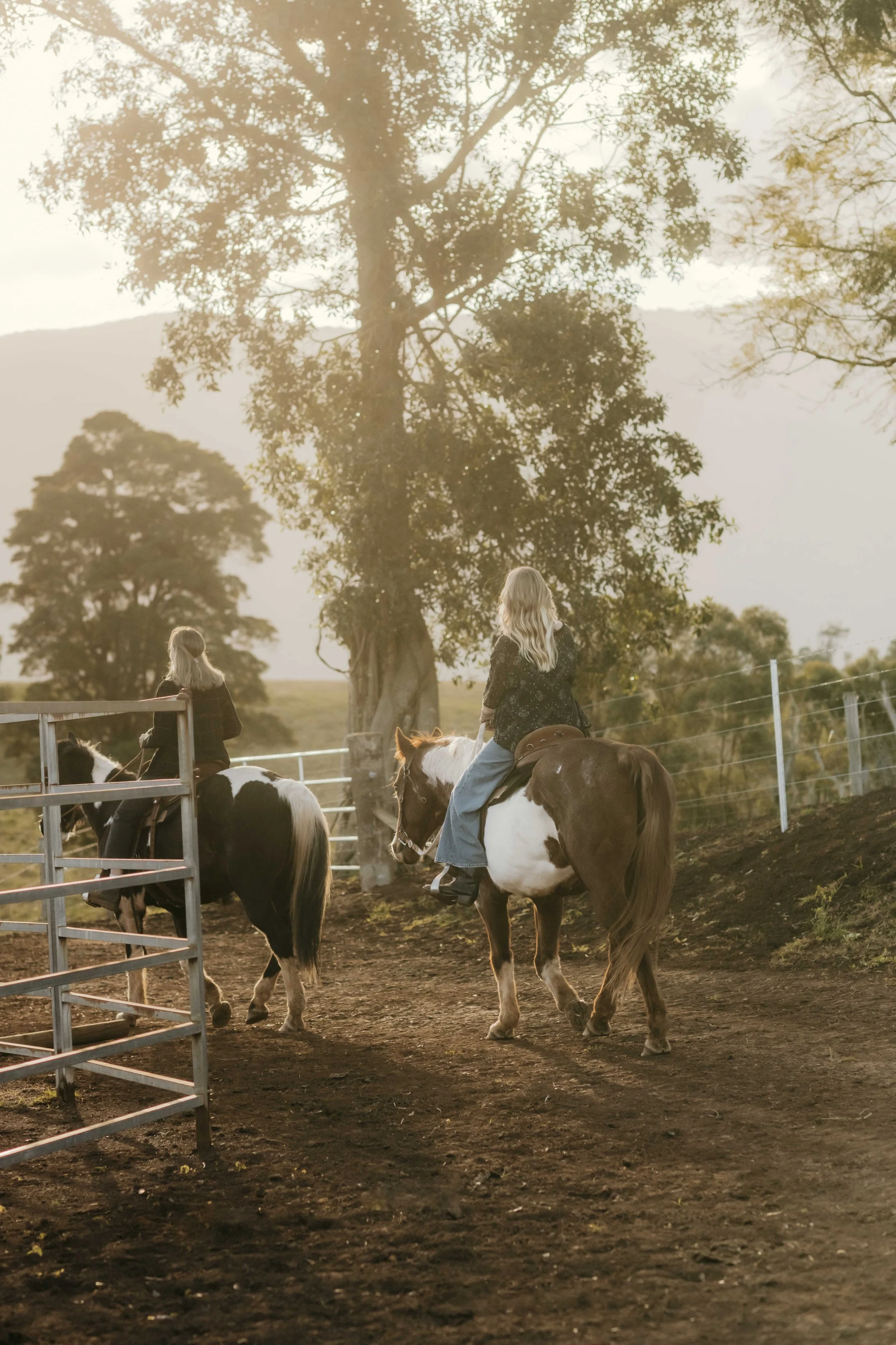 Two riders on horseback at golden hour on the farm