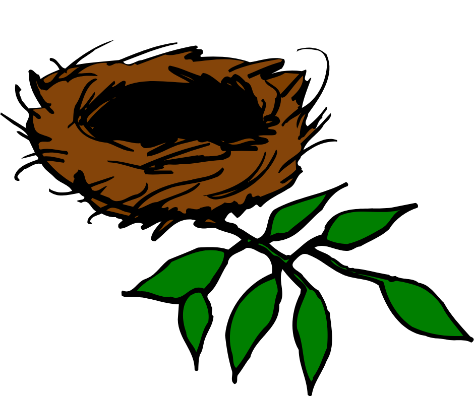 The Empty Nest—Now What?  Navigating the Empty Nest Season Together