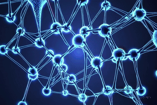 Similarities Between Brain Neurons Training and Deep Artificial Neural Network Training in AI