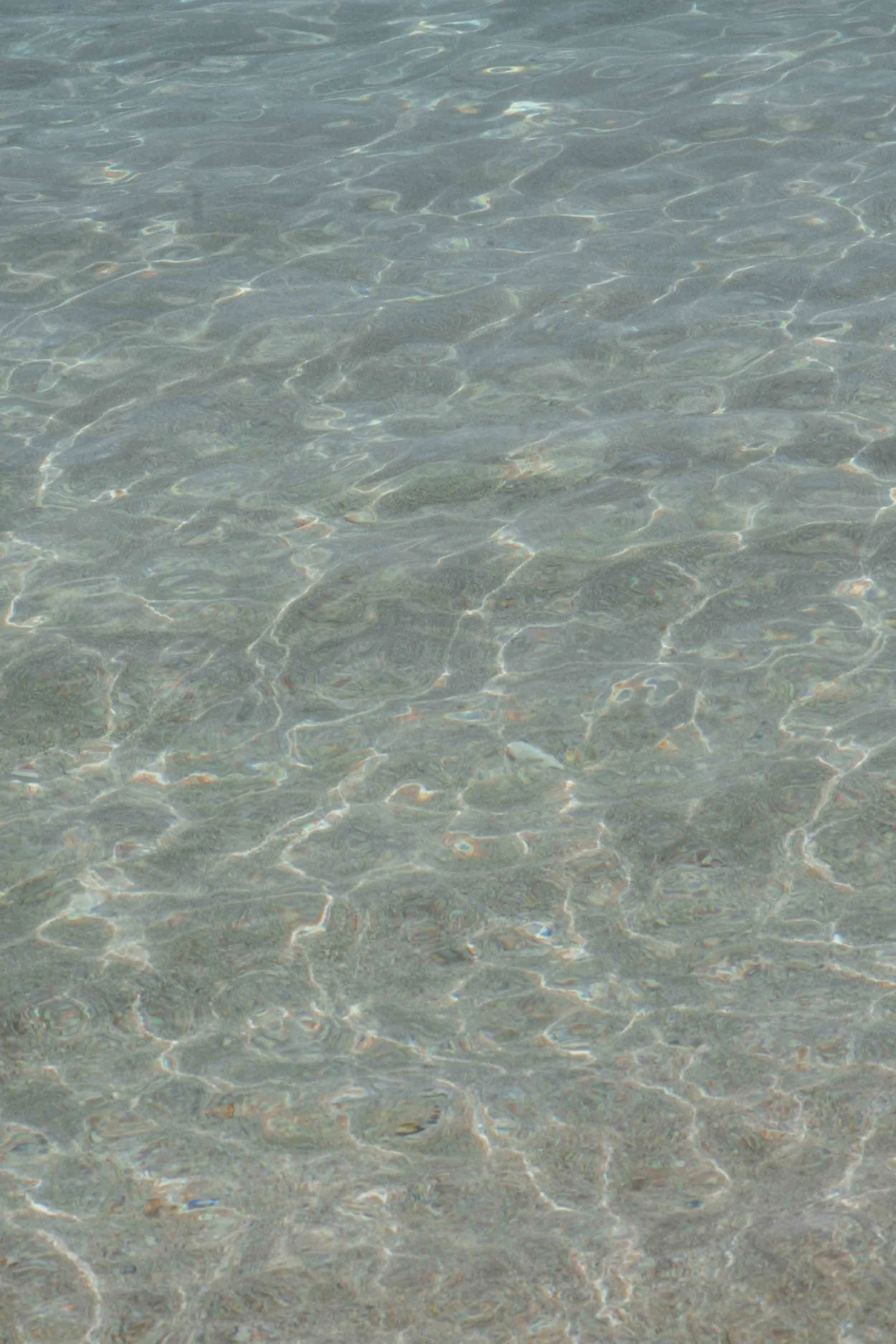 Clear, shallow ocean water with sunlight reflecting off the surface.