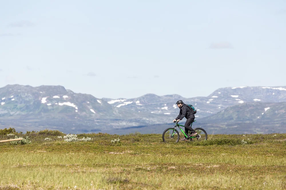 Fjällcykling vid Bruksvallarna sommar
