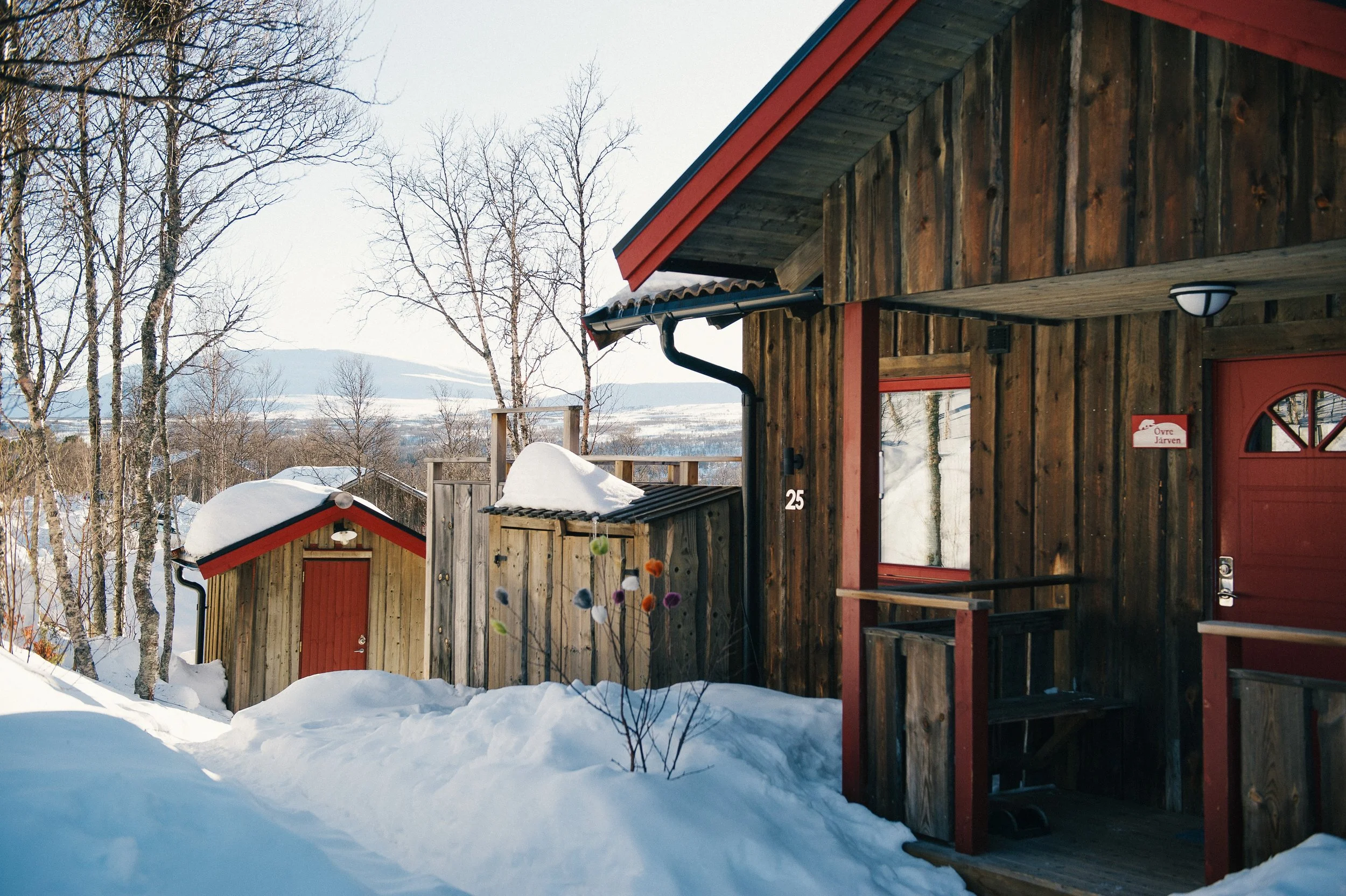 Fjällfrid-28 copy.jpg