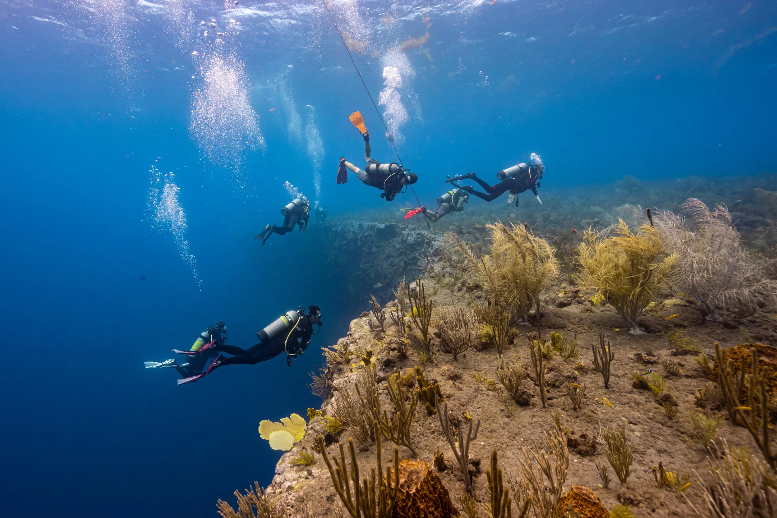Tent Reef Credits Chad Nuttall(3).jpg