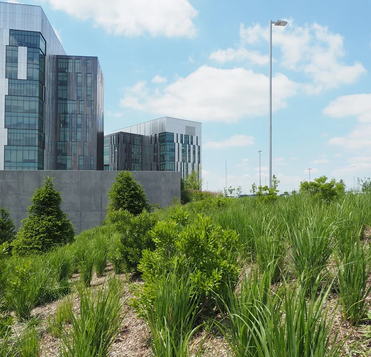 Cerner Innovations Campus