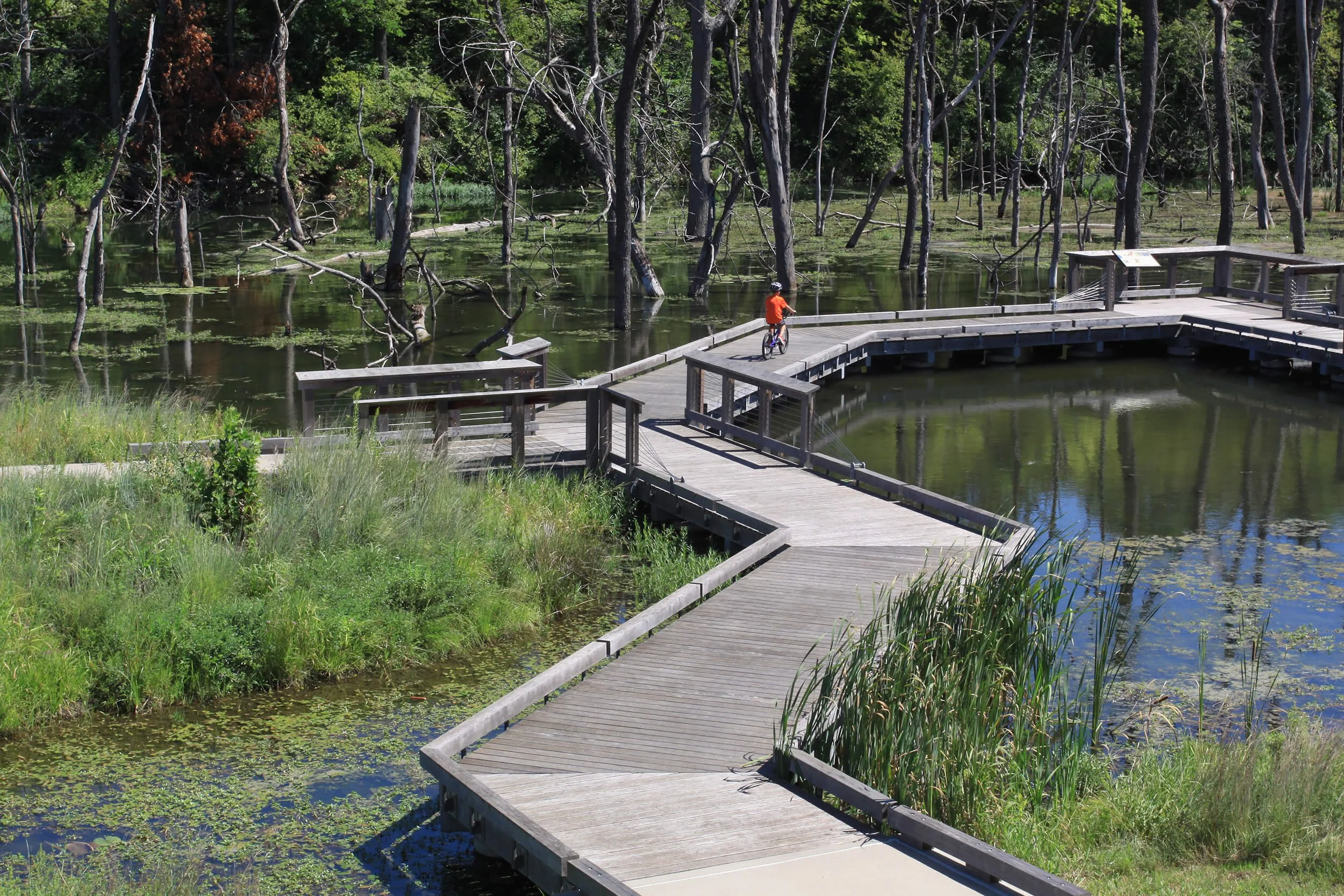 Lake Lenexa 14 2.jpg