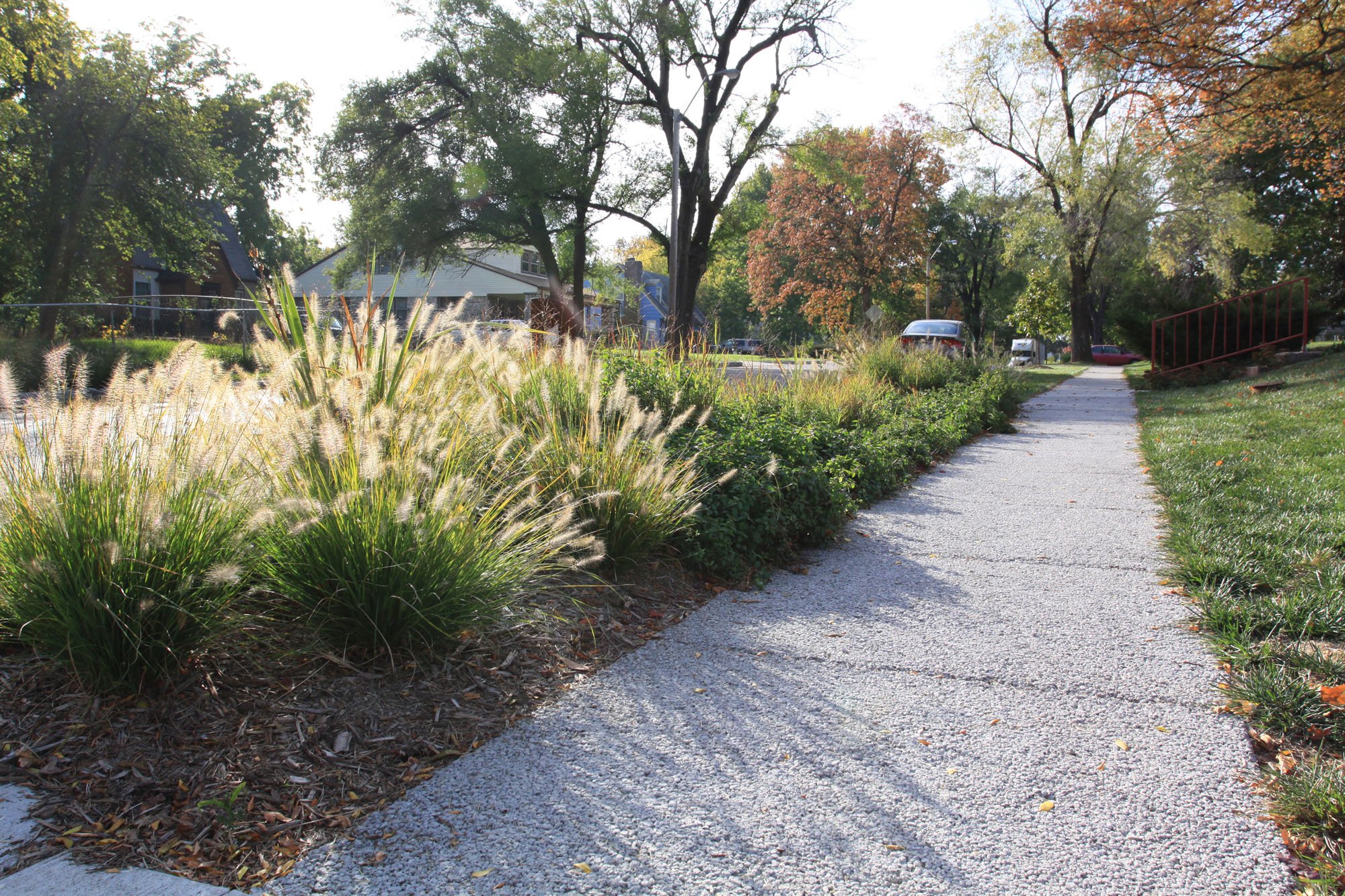 Middle Blue_1411.jpg