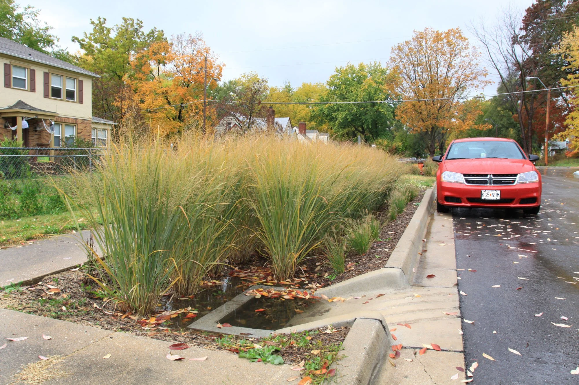 Middle Blue_1520.jpg