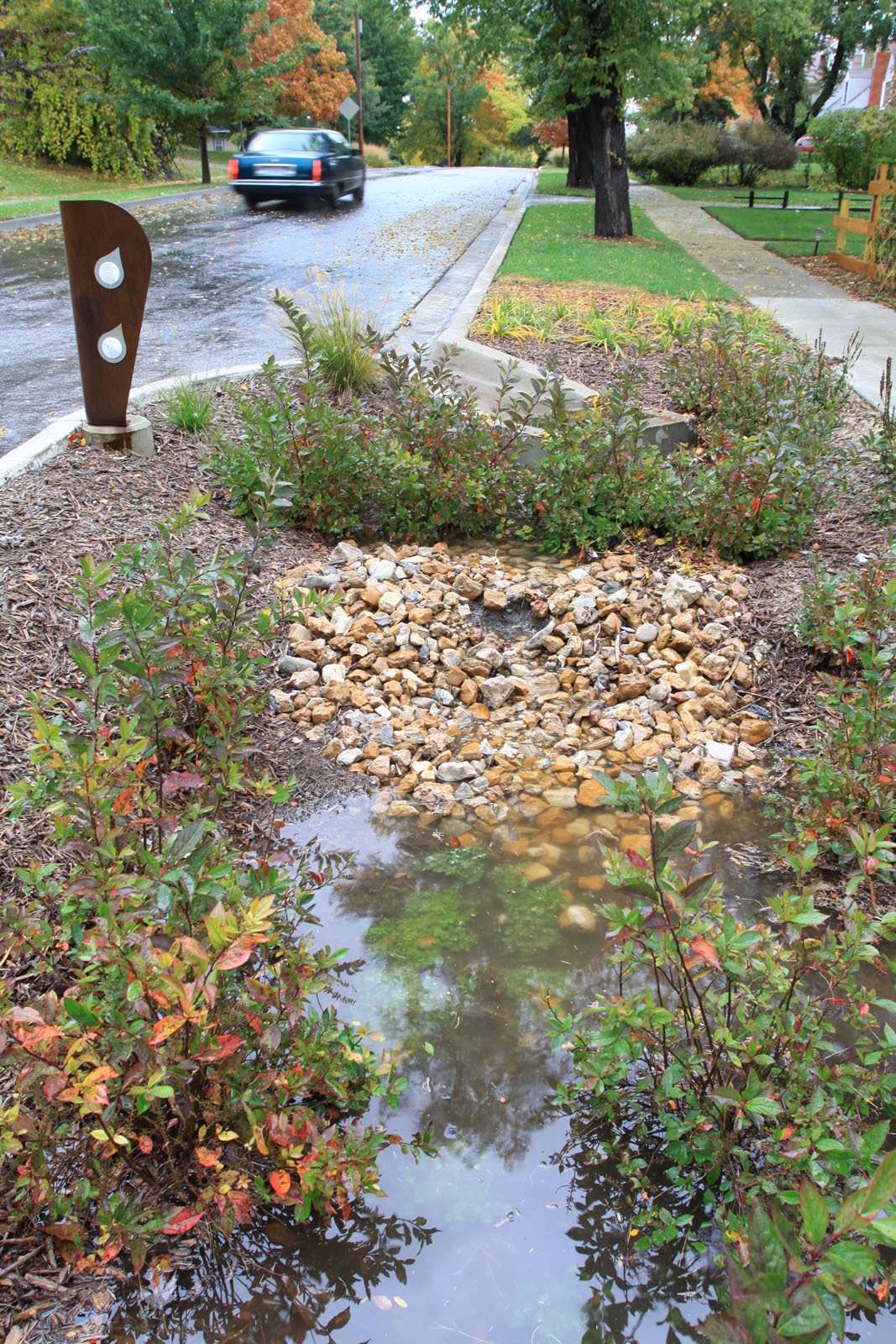 Middle Blue_1505.jpg