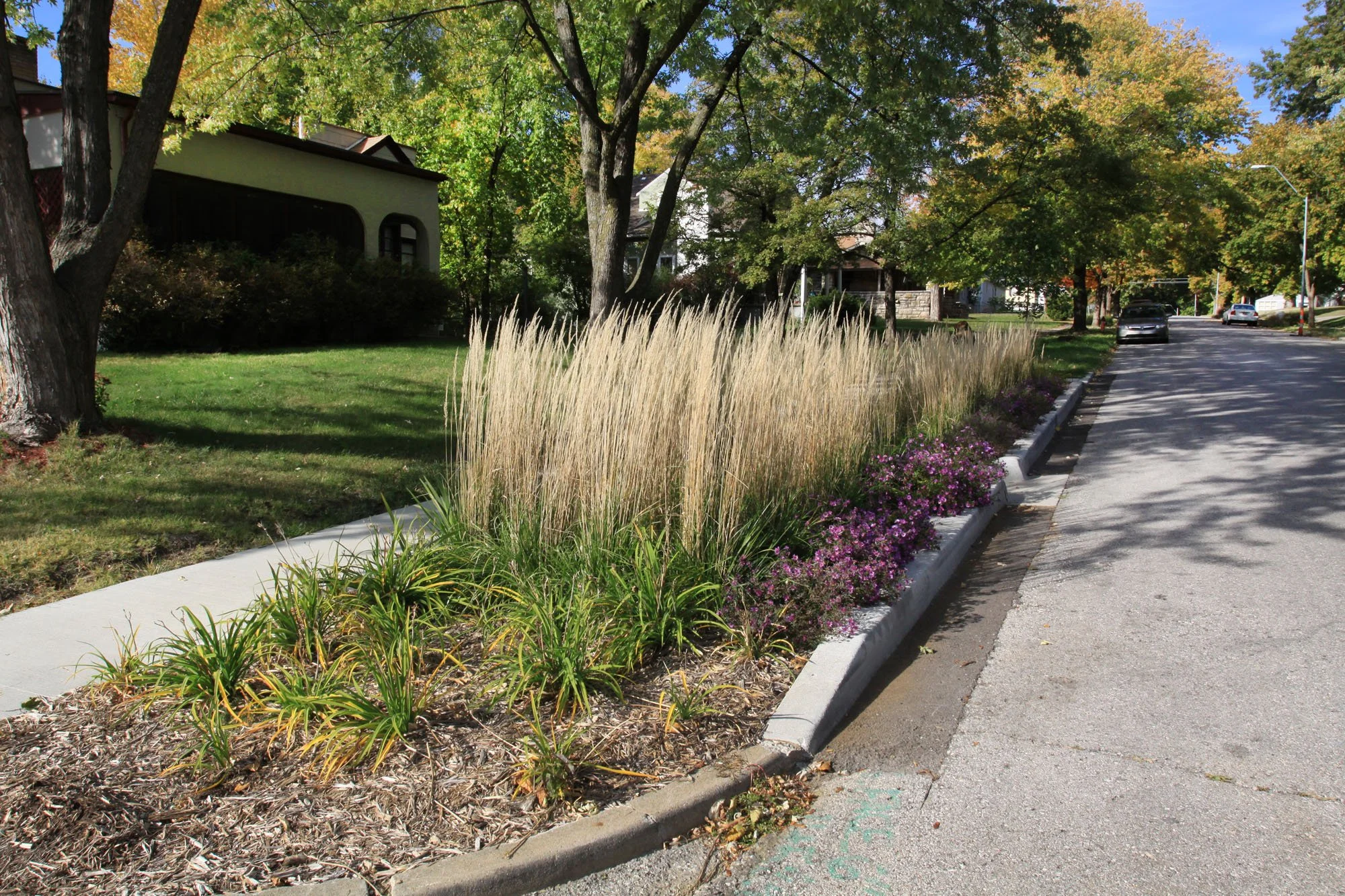 Middle Blue_1360.jpg