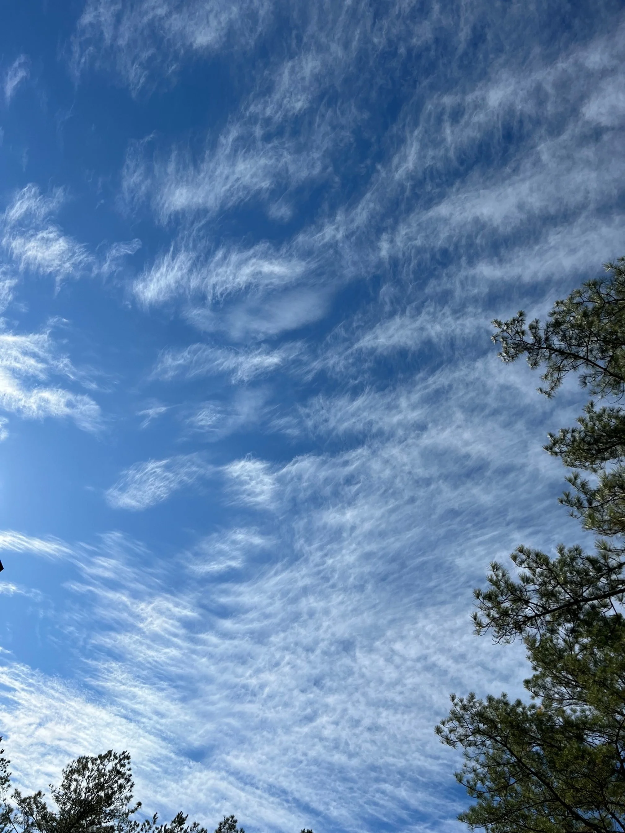 Just do it already…