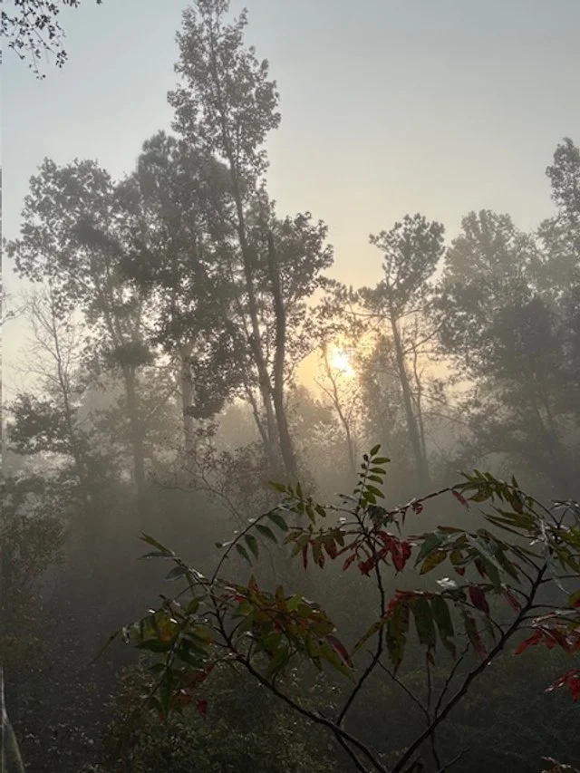 Seeing through the fog…