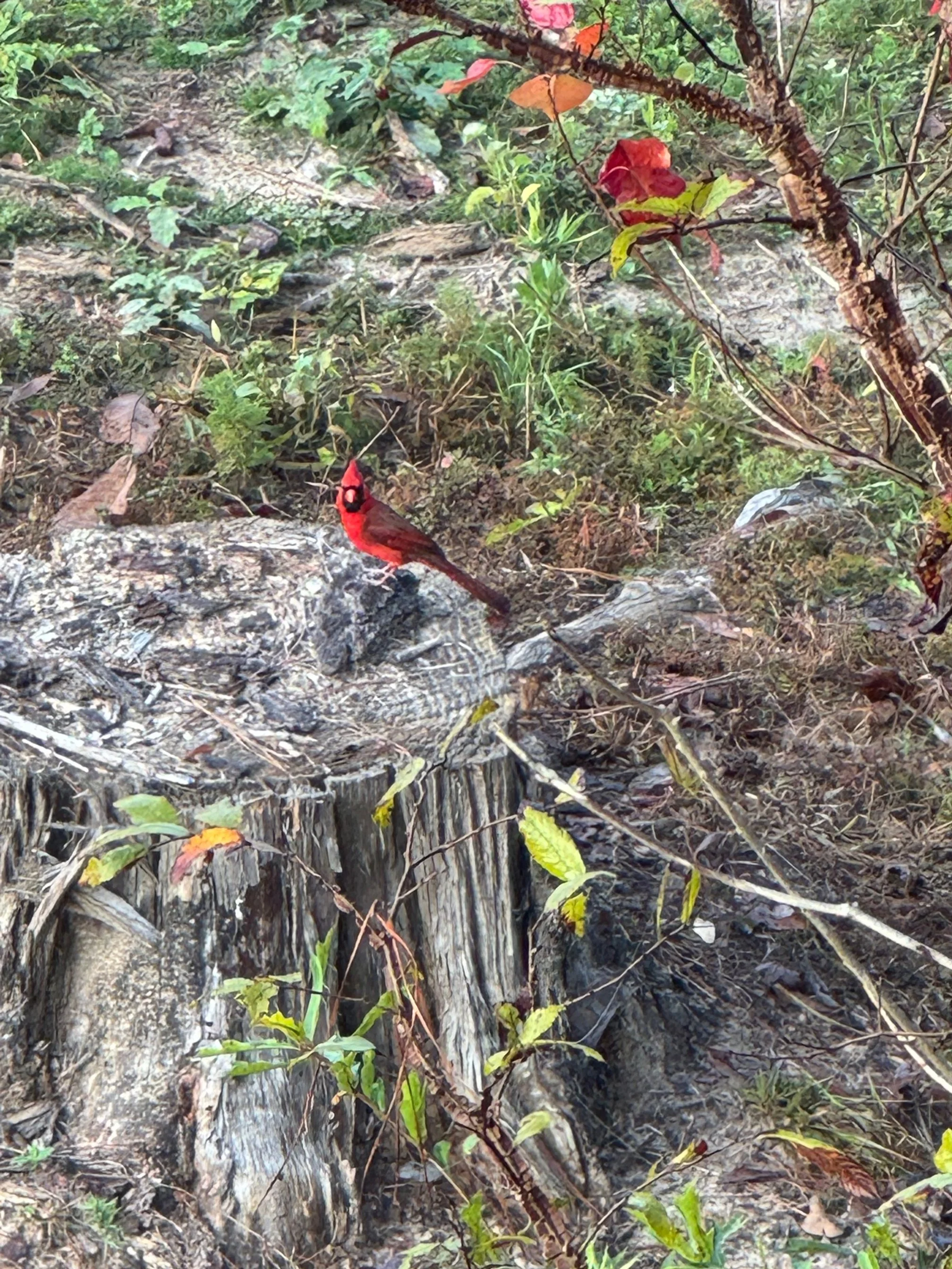 Pushing Through The Holidays