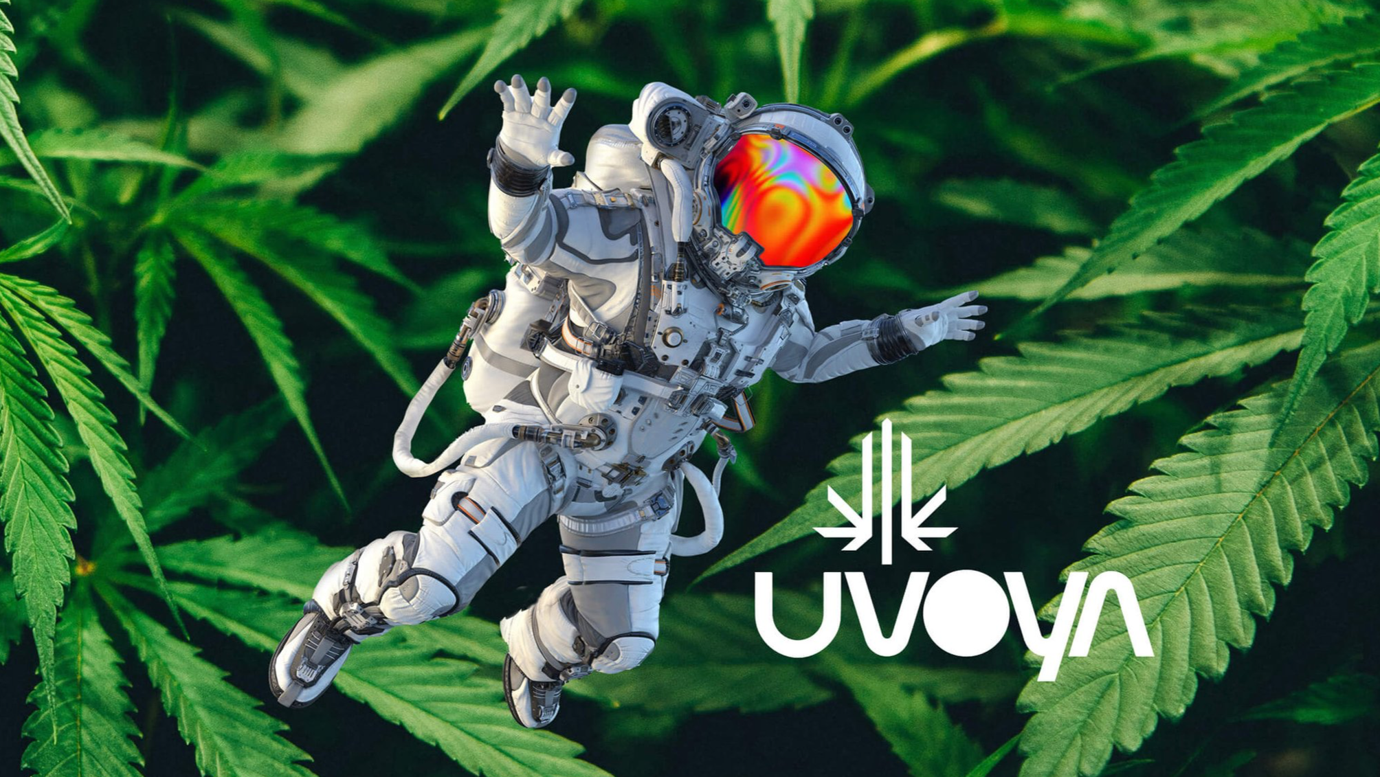 Uvoya_SpaceWeedMan_003.png