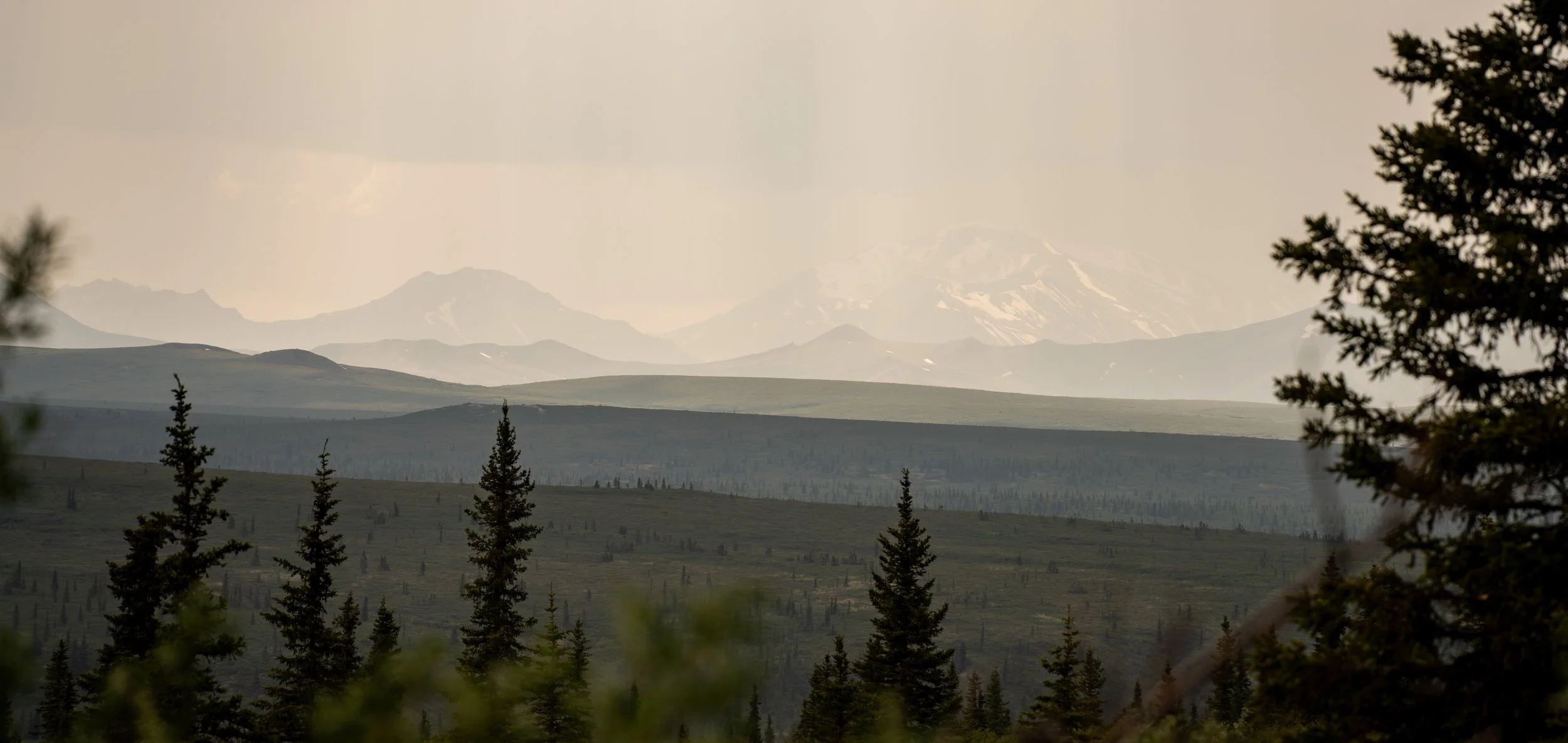 AK - Denali National Park