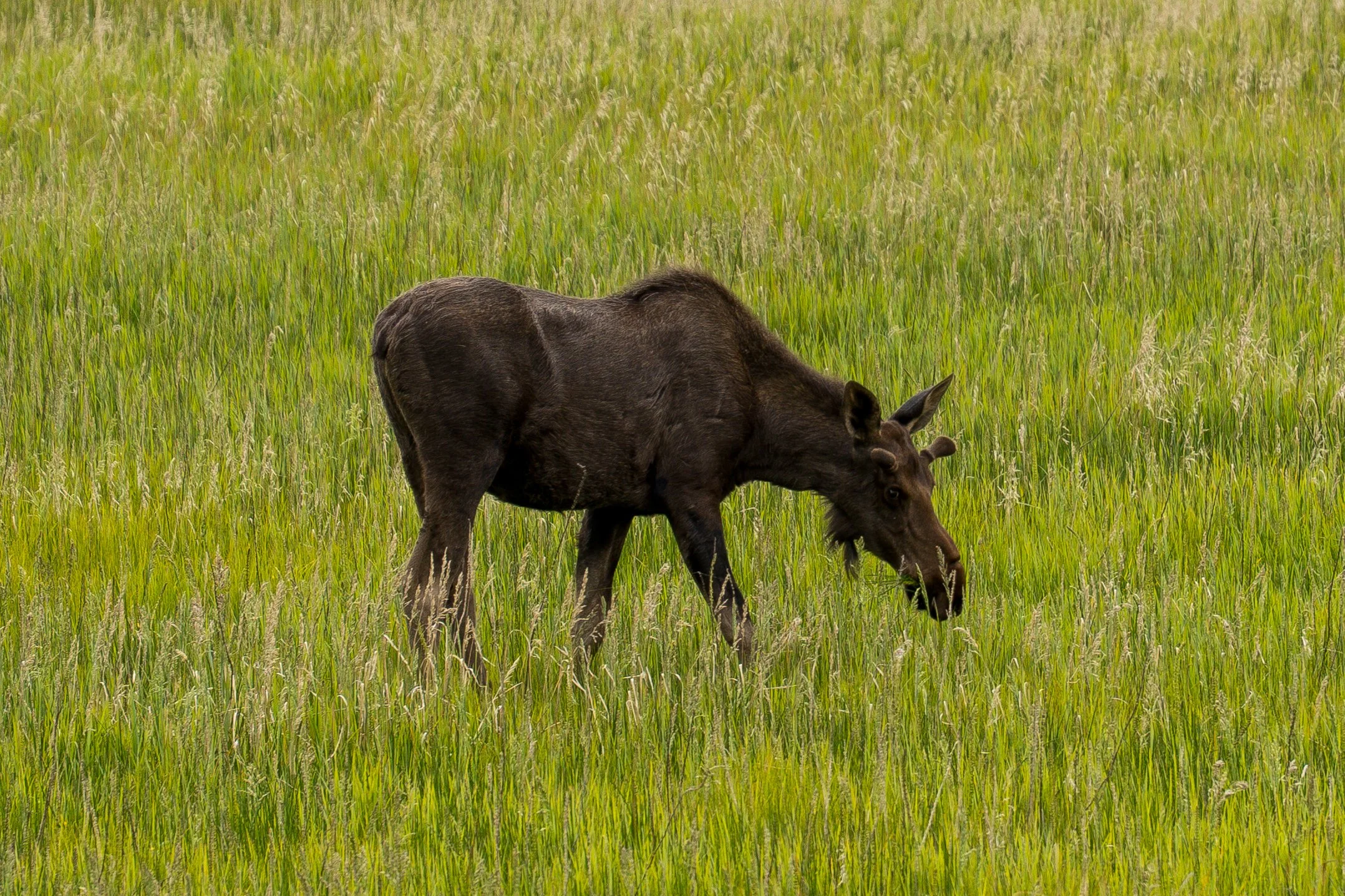 _DSC1422.jpg