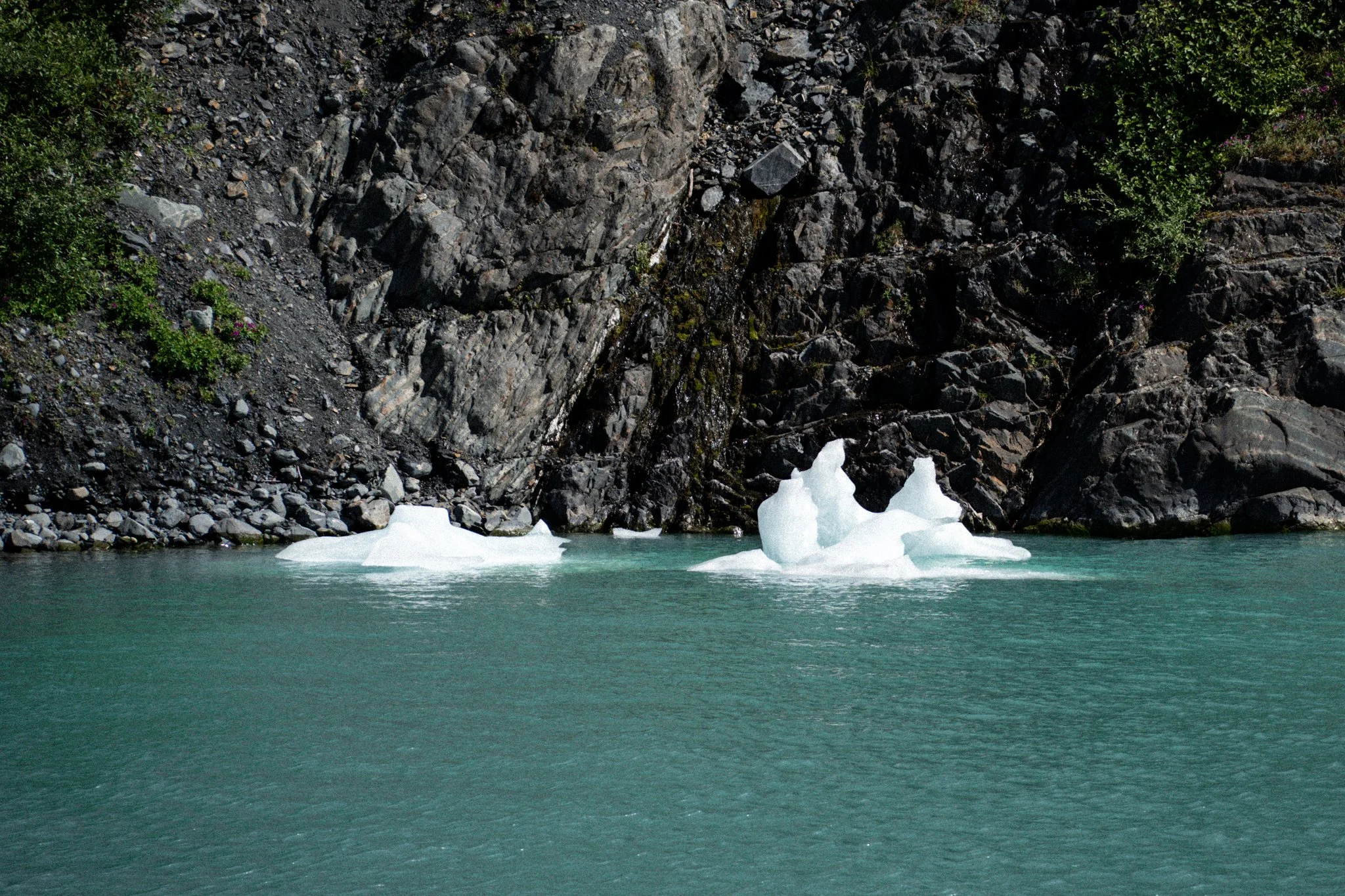 _DSC1607.jpg