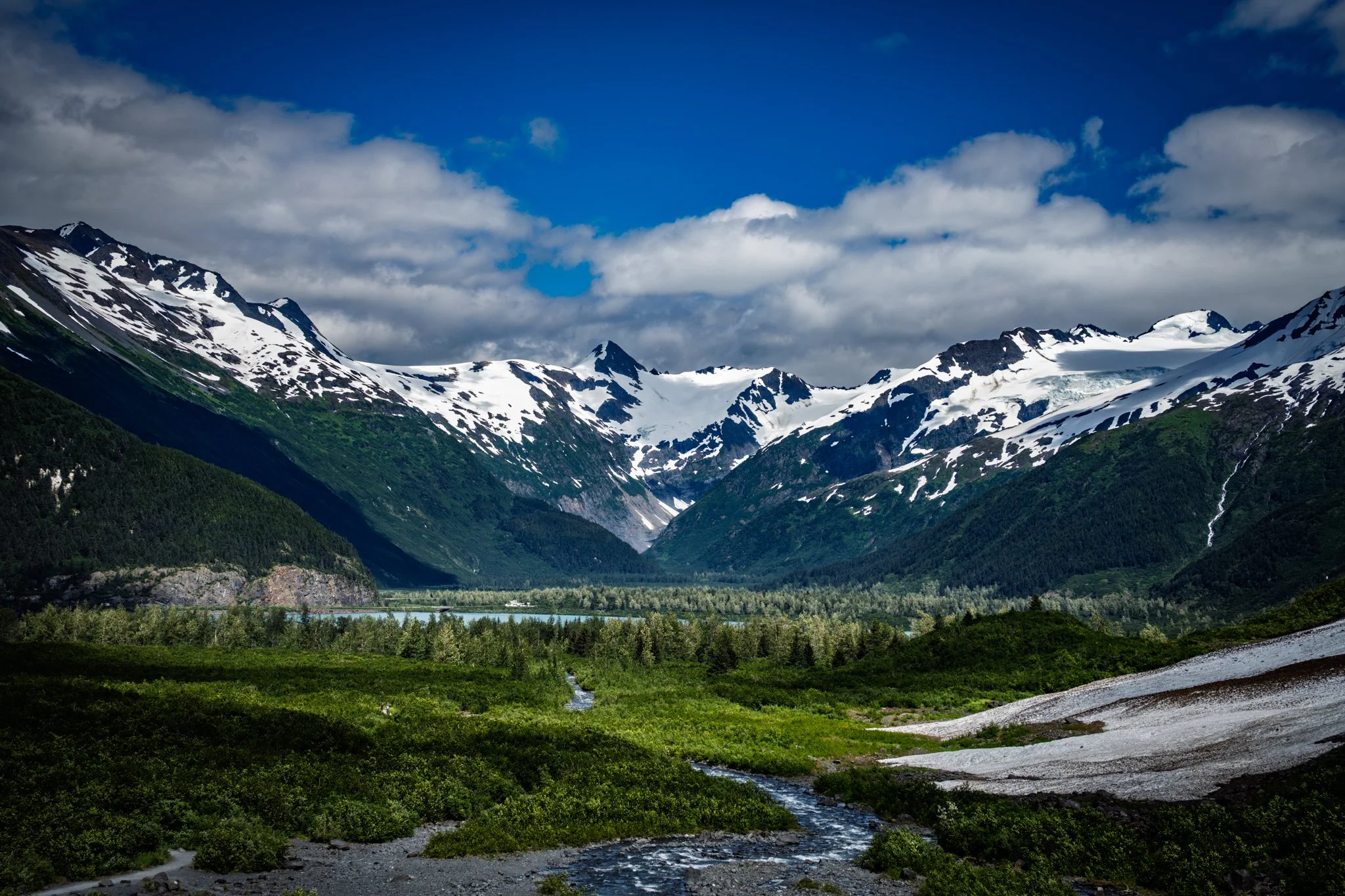 _DSC1687.jpg
