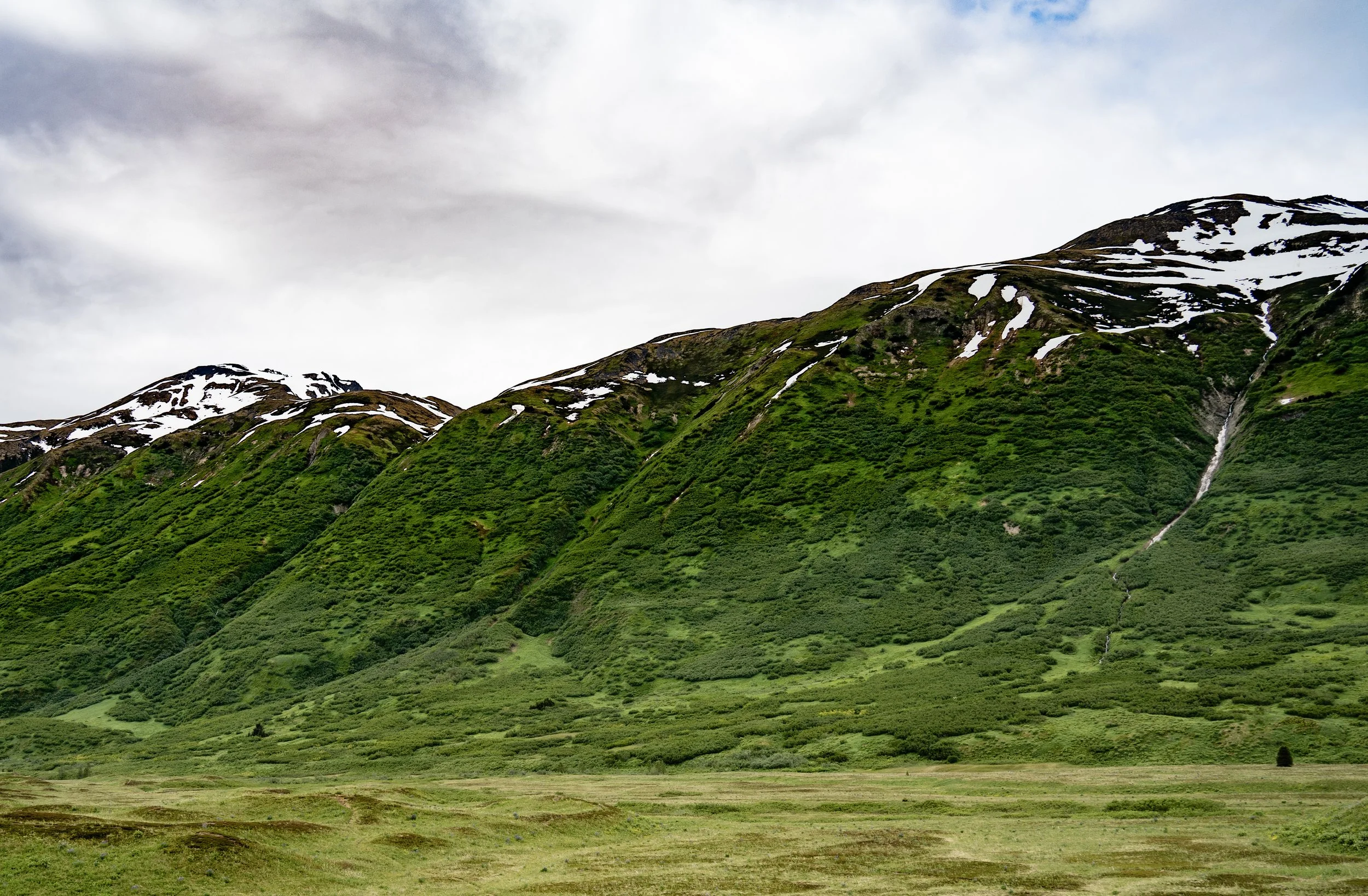 _DSC1408.jpg