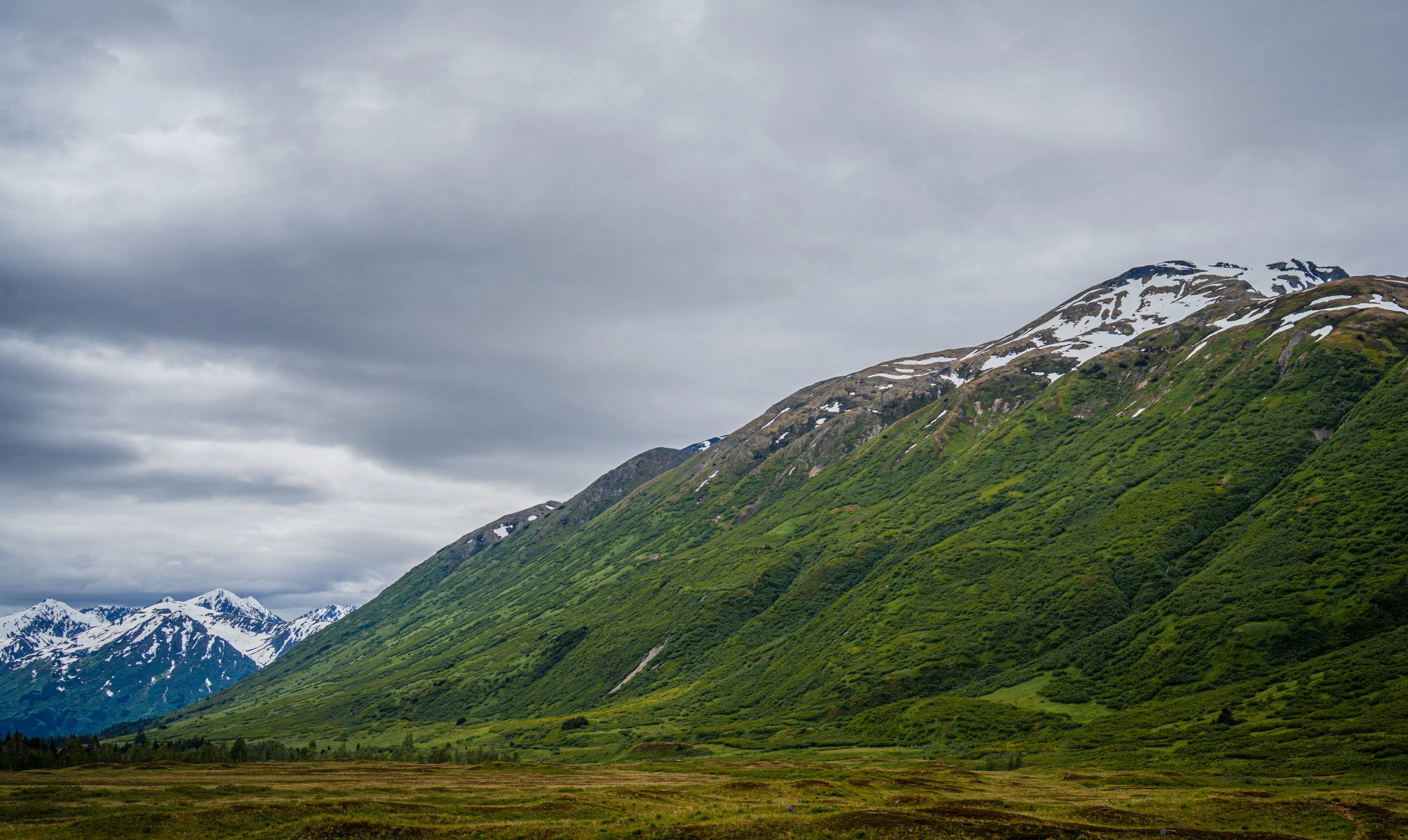 _DSC1407.jpg