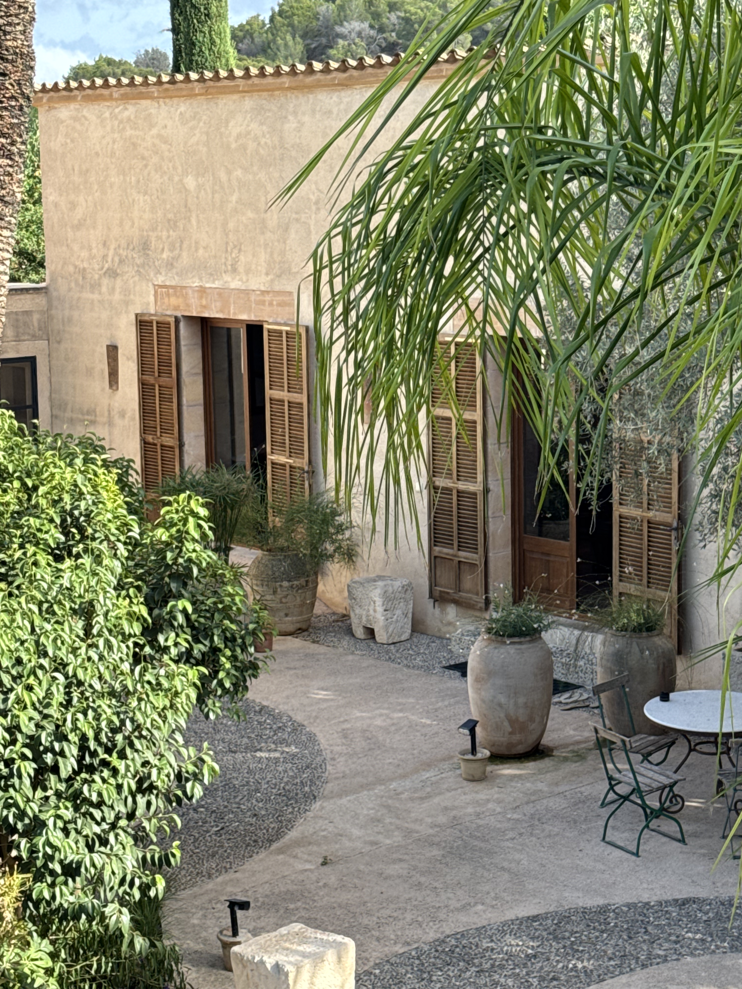 Copy of IMG_7236.png