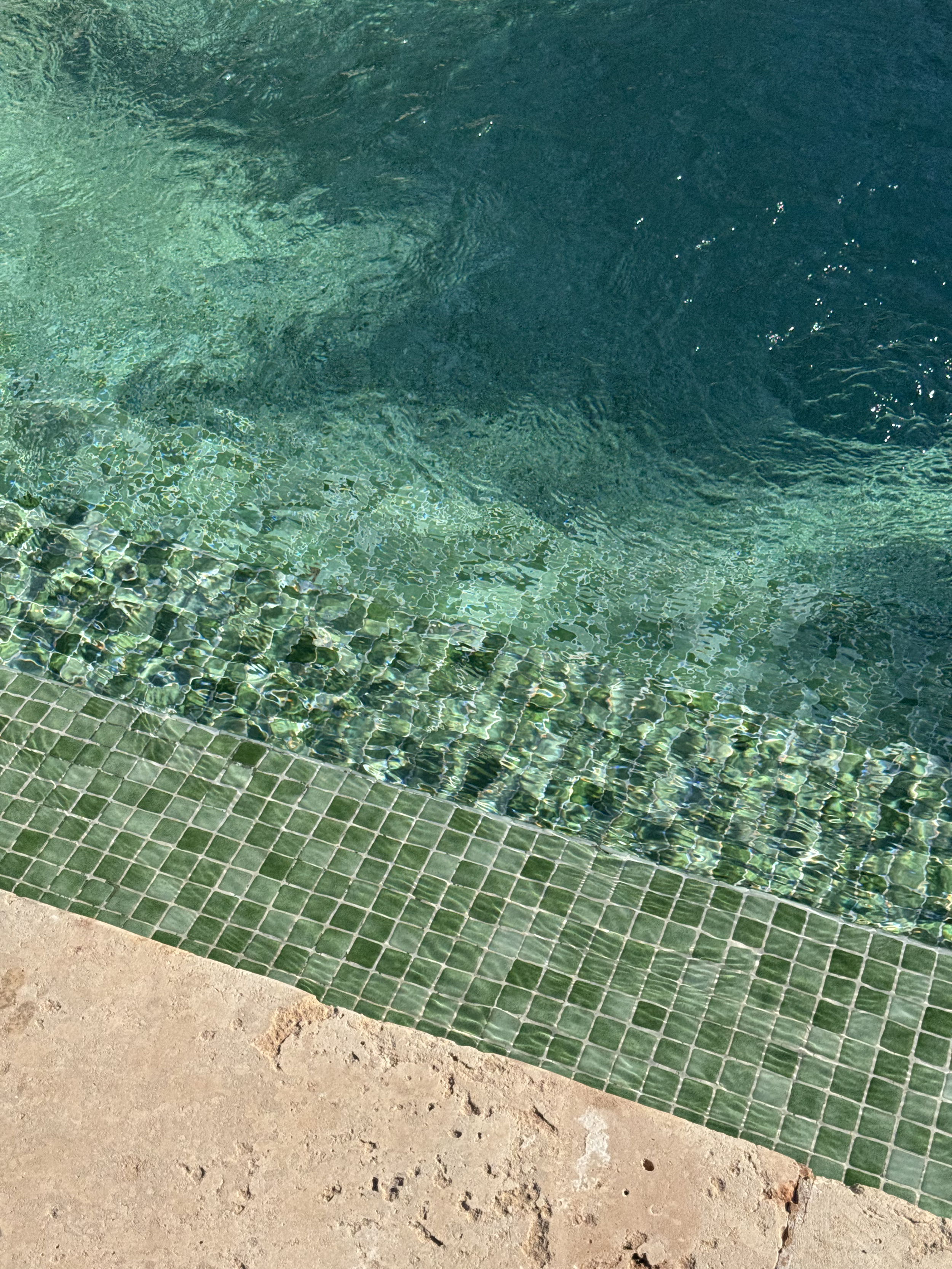 Copy of IMG_7077.png