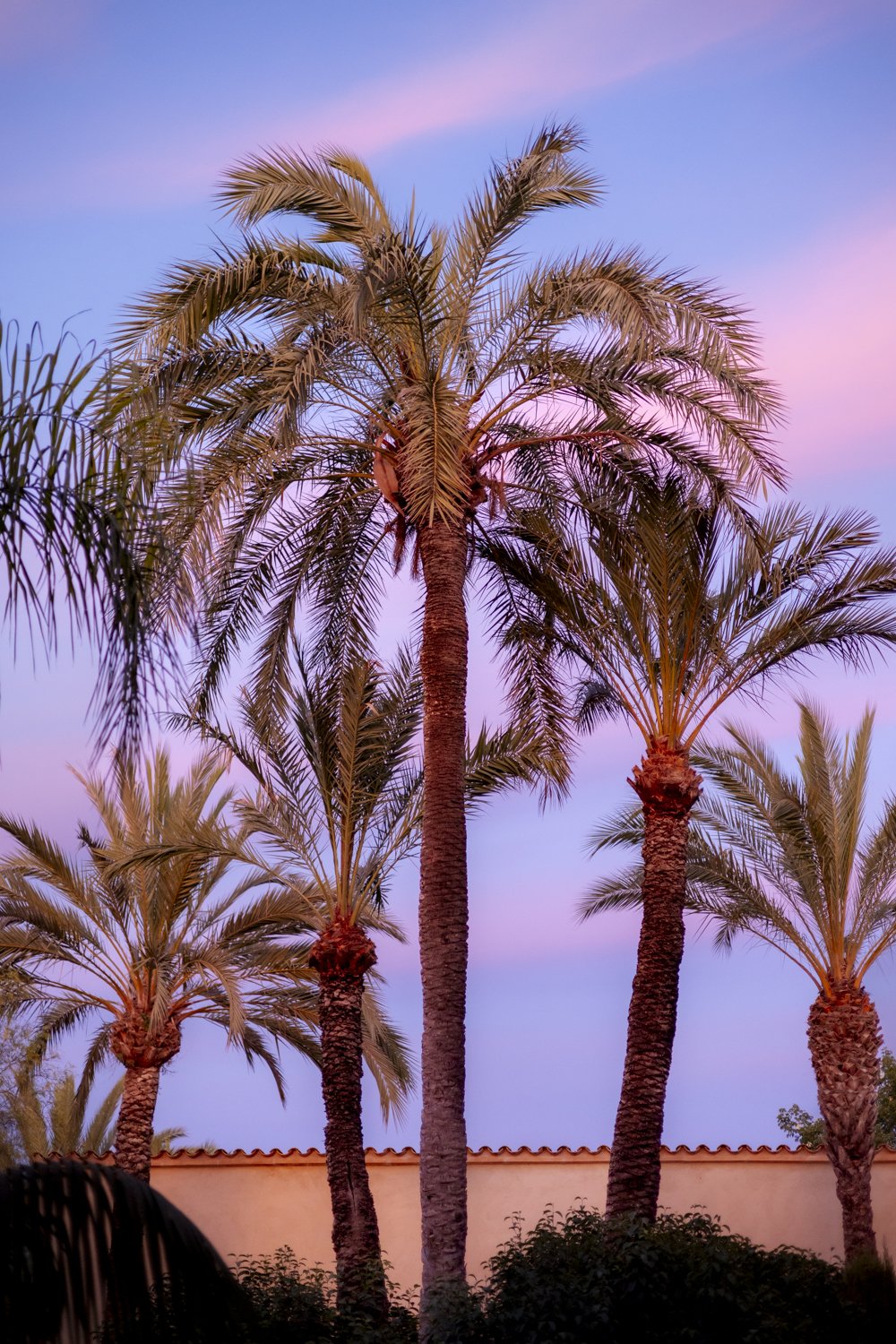 Copy of 6V4A7307.jpg