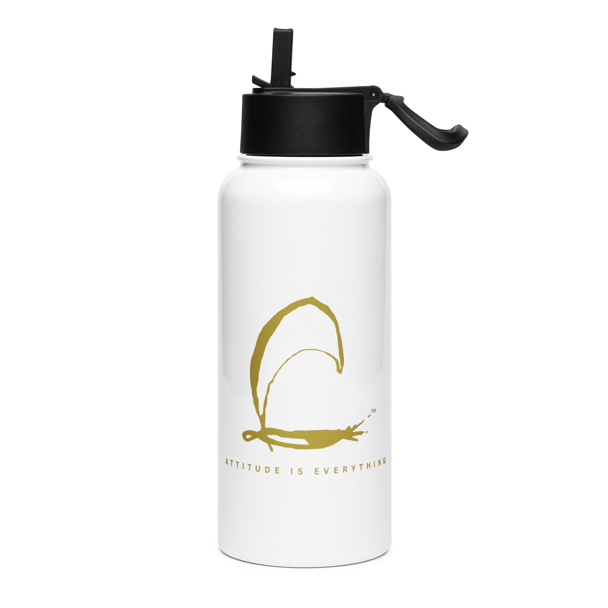 Stainless steel water bottle with a straw lid