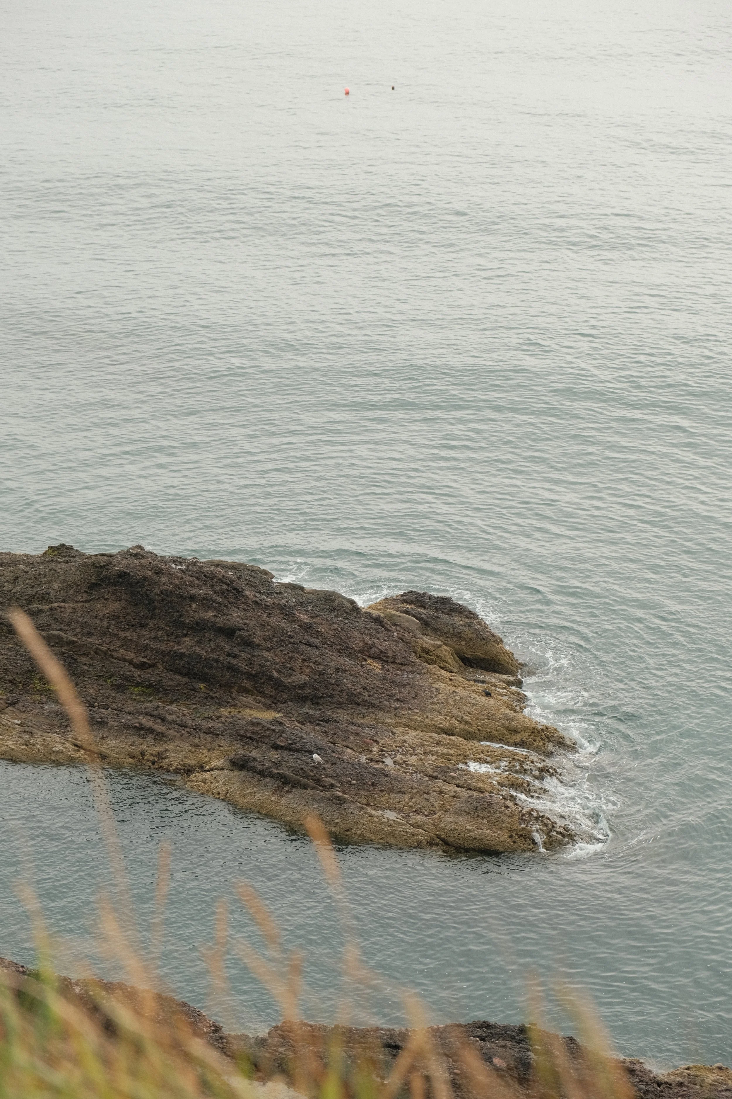 Rocks by the shoreline with the ocean in the background.