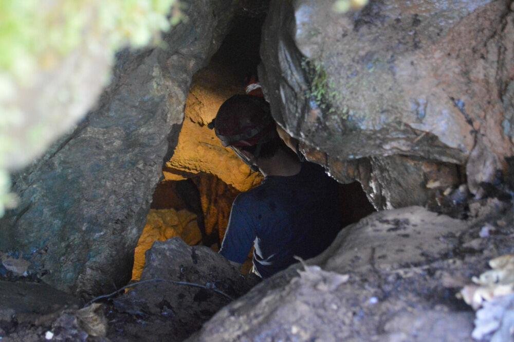 cavin3.jpg