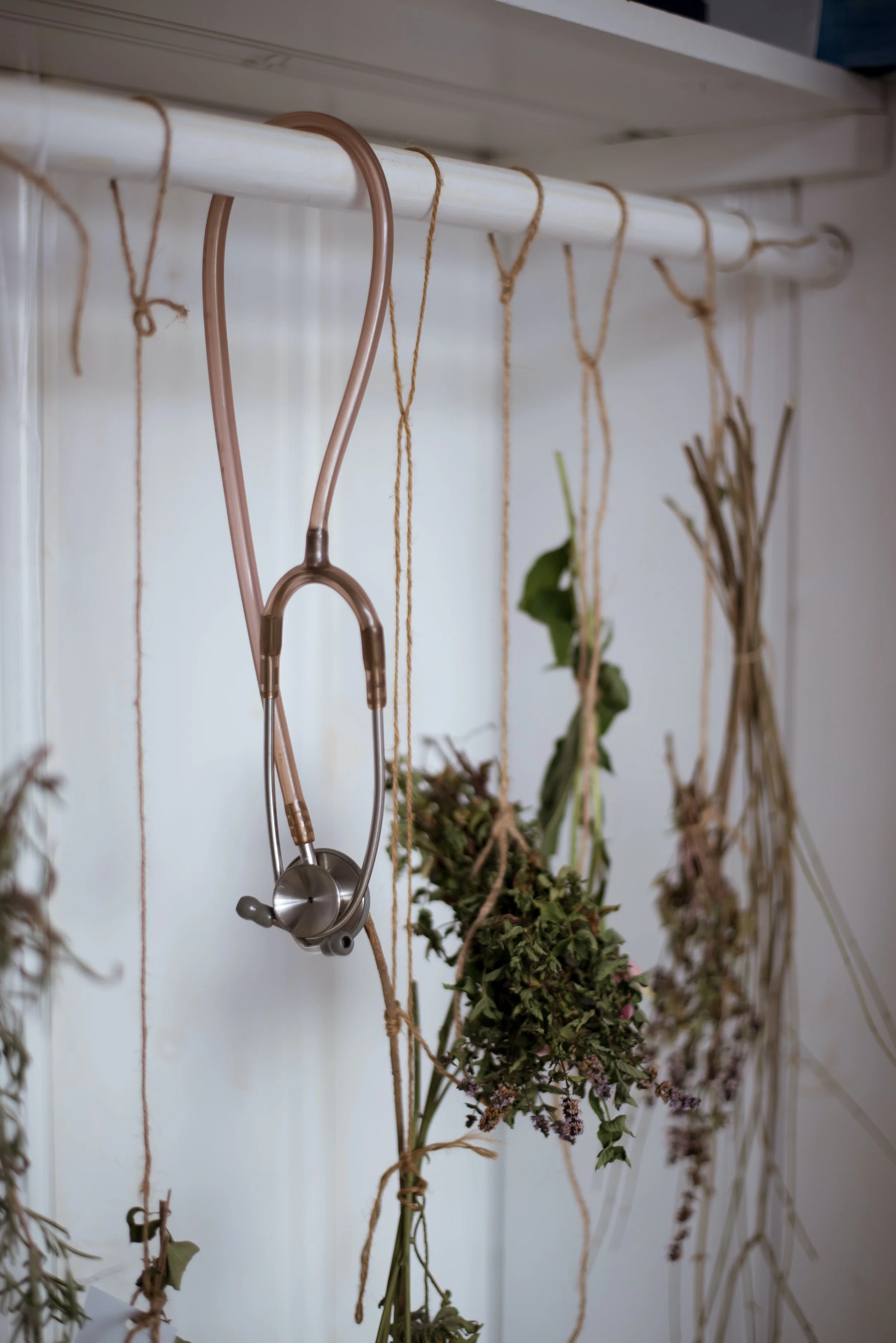 A stethoscope hangs on a white rod above dried herbs tied with string in a kitchen or medical setting.