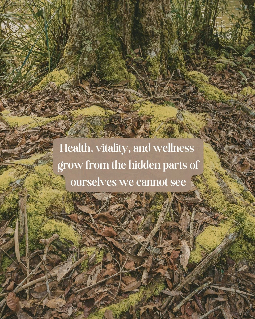 After more than 20 years in nursing, I came to understand something deeply.

Health is not shaped only by what is visible.

It is shaped by our inner world.
Our experiences.
Our nervous system.
Our relationship with ourselves.

Many people are not br