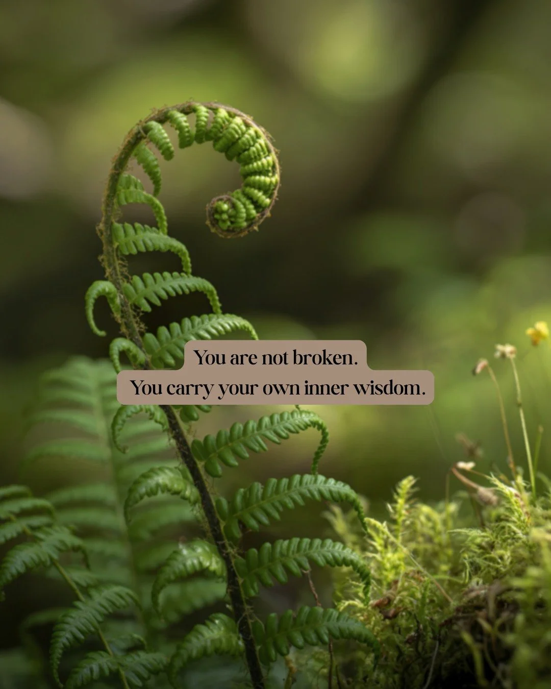 In my work as a nurse, I have witnessed how deeply people question themselves, moving through life believing something is wrong with them.

🌿 They override their intuition.
🌿 They silence their needs.
🌿 They learn to trust external voices more tha