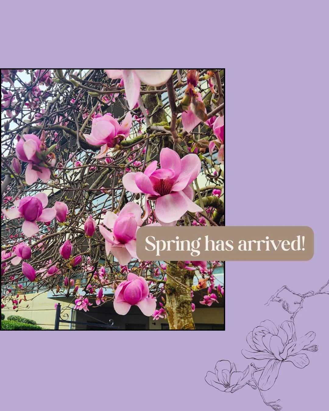 Spring is a sacred dance between winter and summer.

Cool mornings and warm afternoons.
Bare branches and blooming flowers.
Rest and movement, existing at the same time.

Nature doesn&rsquo;t rush this transition.

It unfolds slowly, in its own rhyth