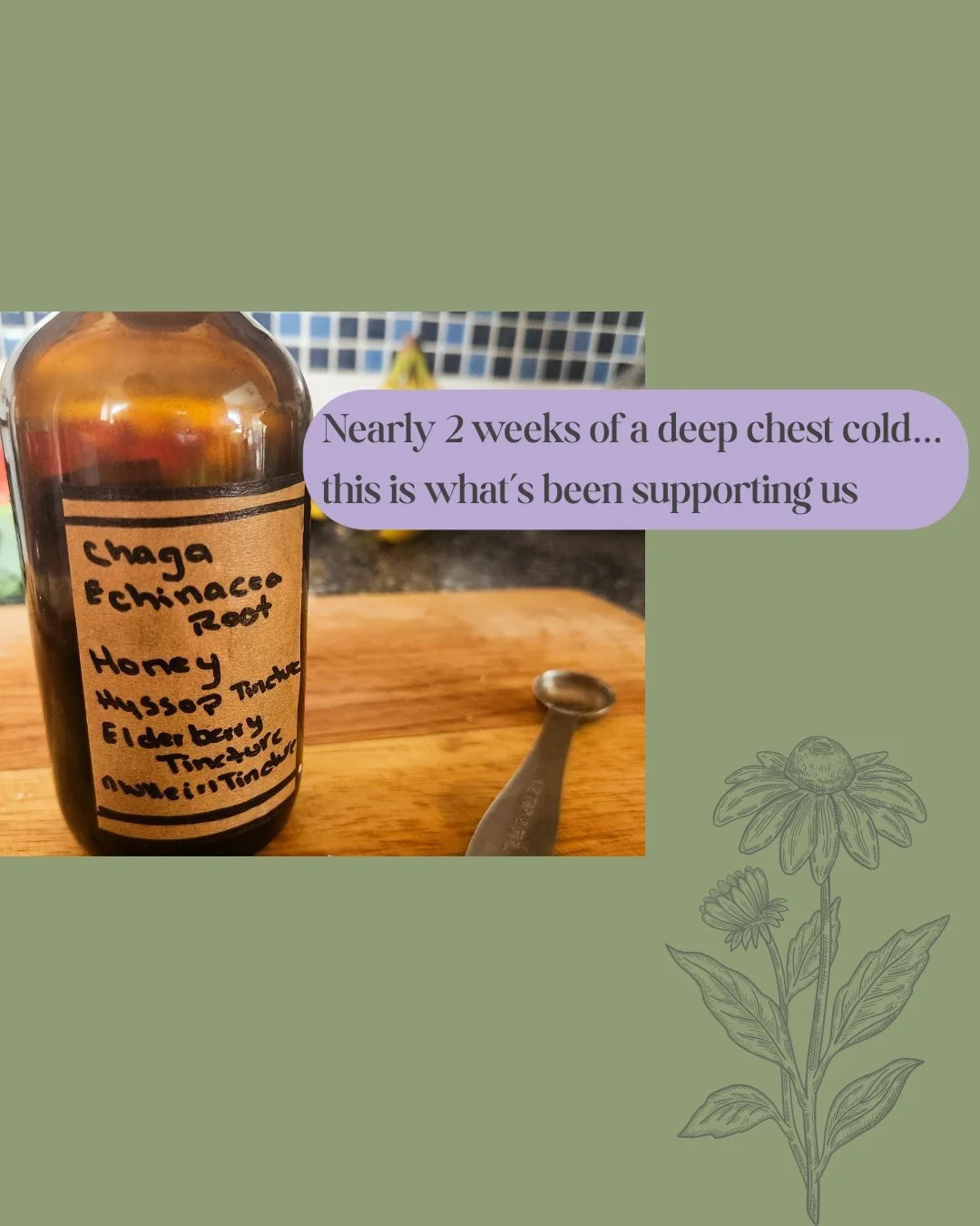 Feilds notes from the kitchen: Caring for a Chest Cold

We&rsquo;ve been moving through a deep chest cold in our home for nearly 2 weeks 🤍

These are some of the small, steady ways I&rsquo;ve been supporting my body through it.

Nothing fancy. Just 