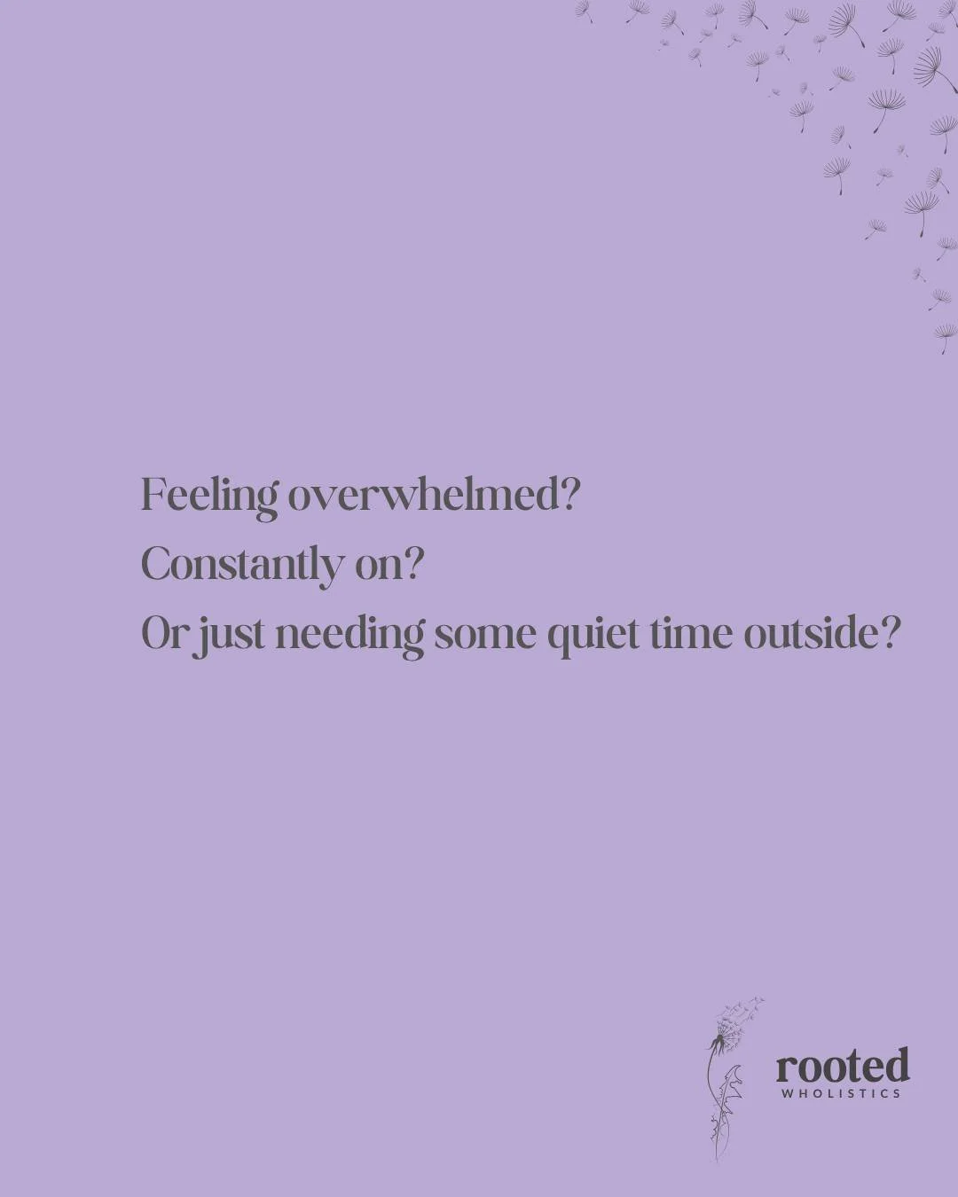 I&rsquo;ve started offering free monthly meditation walks through Rooted Wholistics 🌿

They&rsquo;re a gentle space to slow down, breathe, and reconnect &mdash; with yourself, nature, and others.

📍 Campbell Valley Regional Park
🗓 Second Sunday of