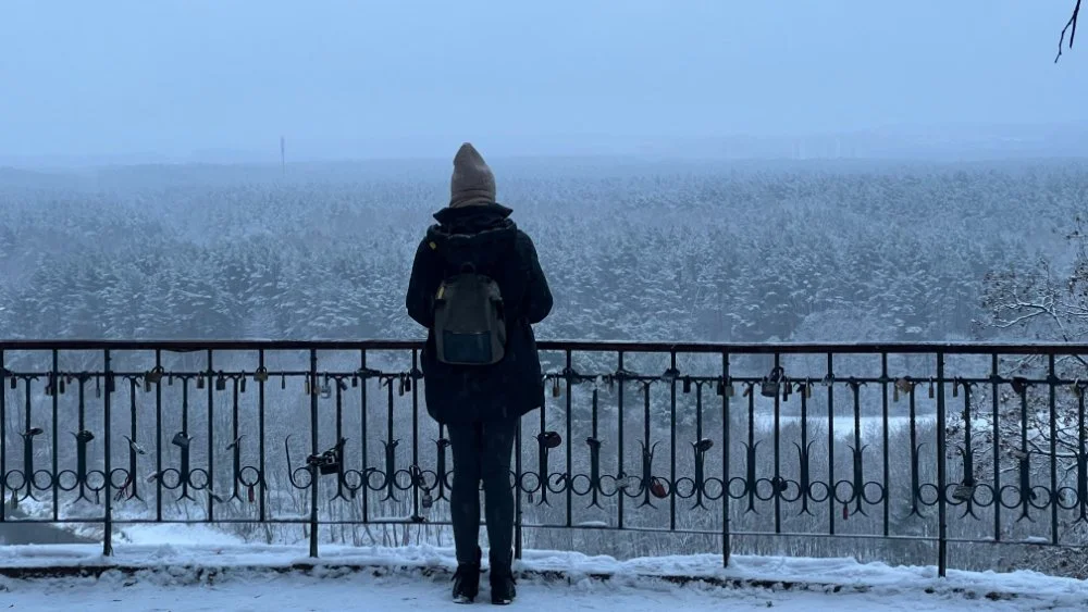 A person standing alone at a snowy overlook, facing a wide winter landscape filled with trees and distant hills. - seasonal depression