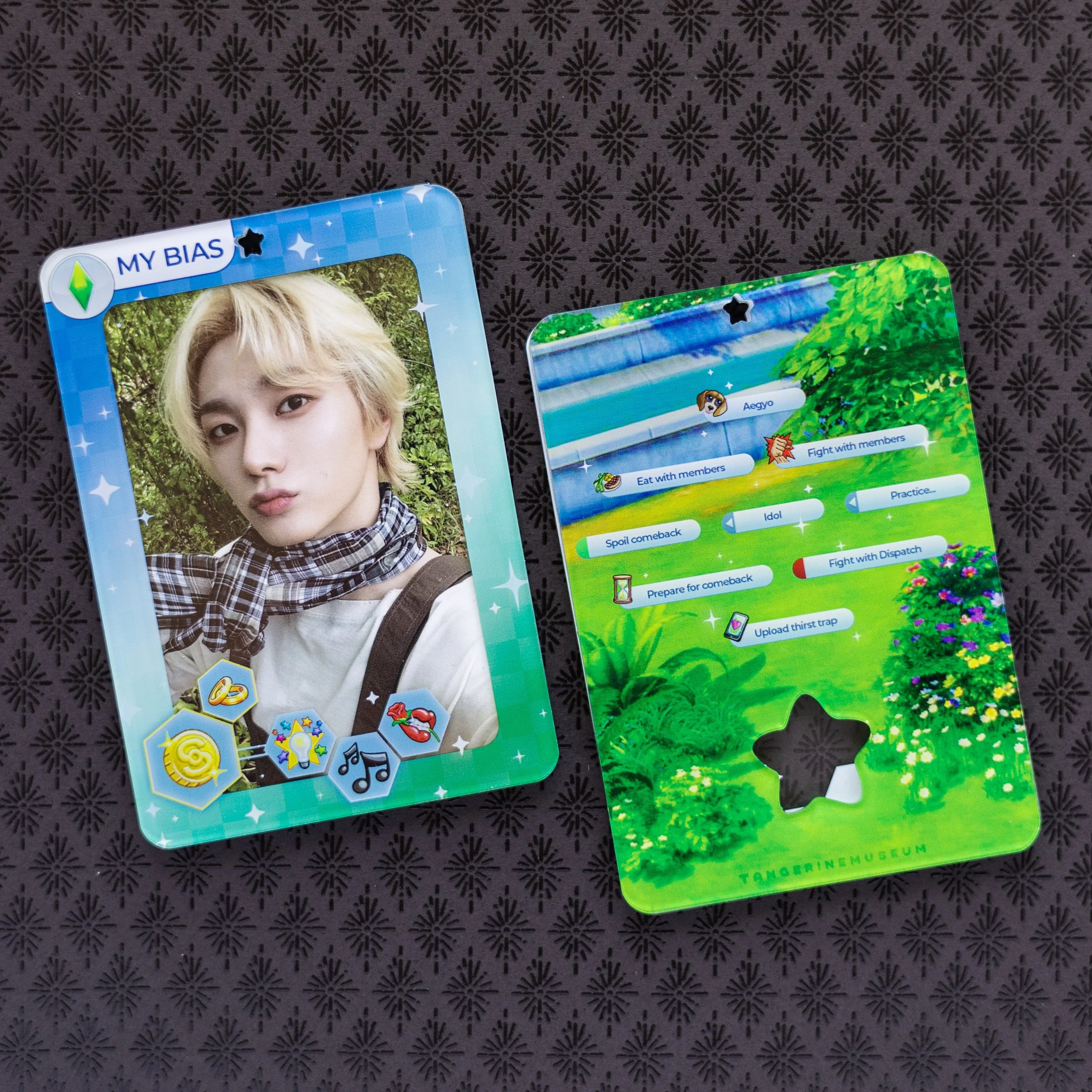 Create-A-Bias Photocard Holder