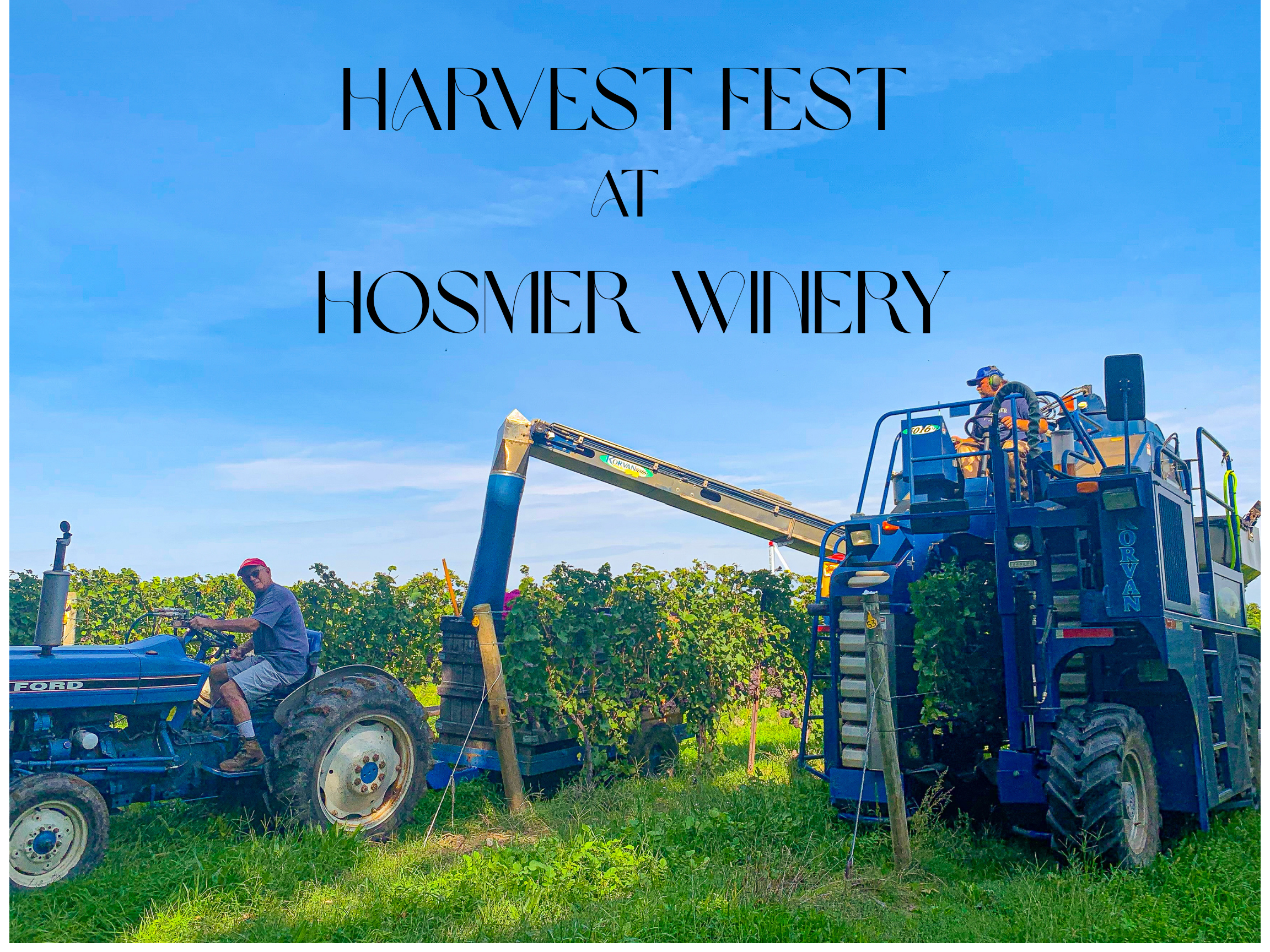 Harvest Fest